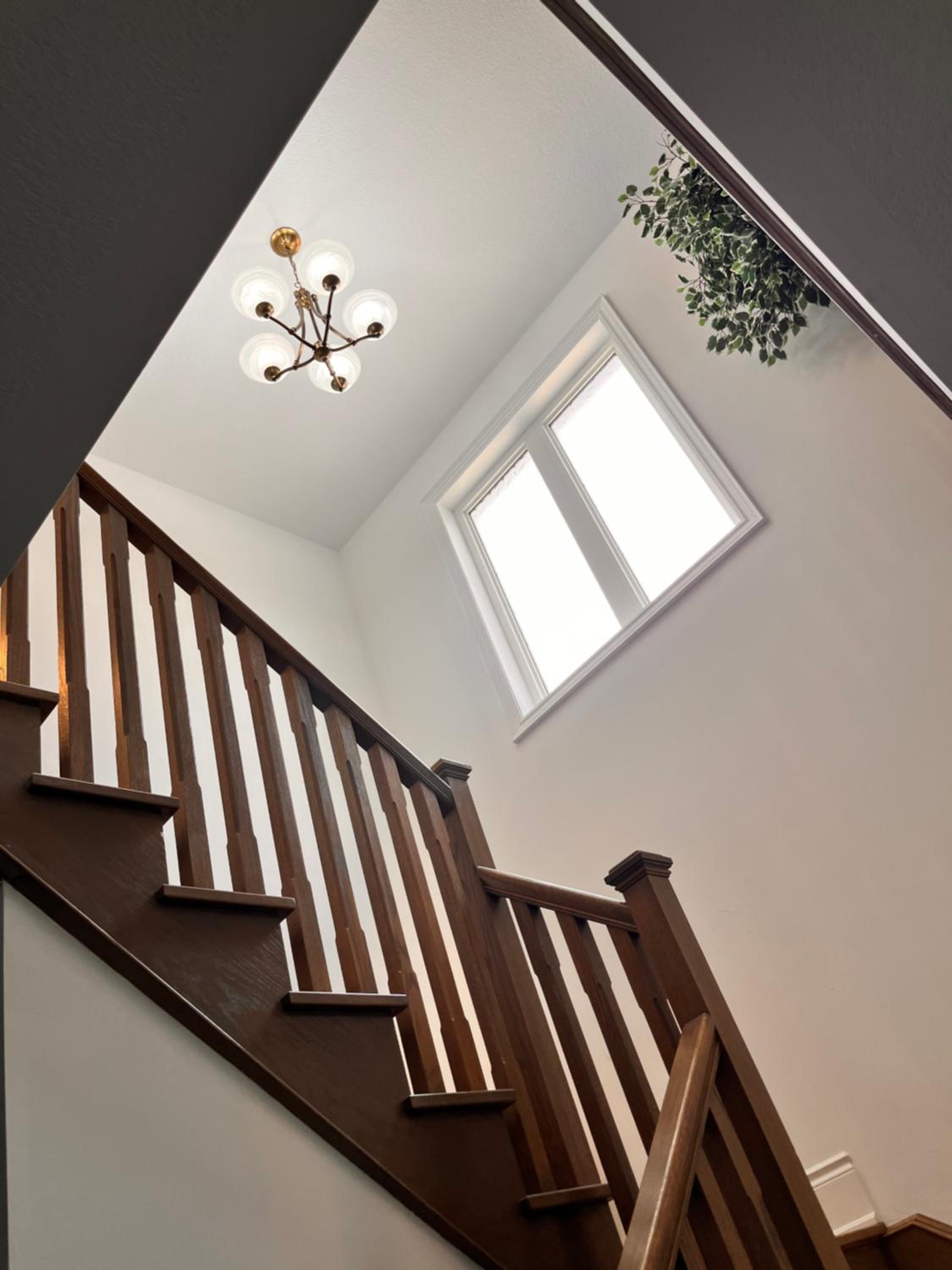 Beautifully furnished whole house, 4 bedroom , 4 washrooms with new furnitures