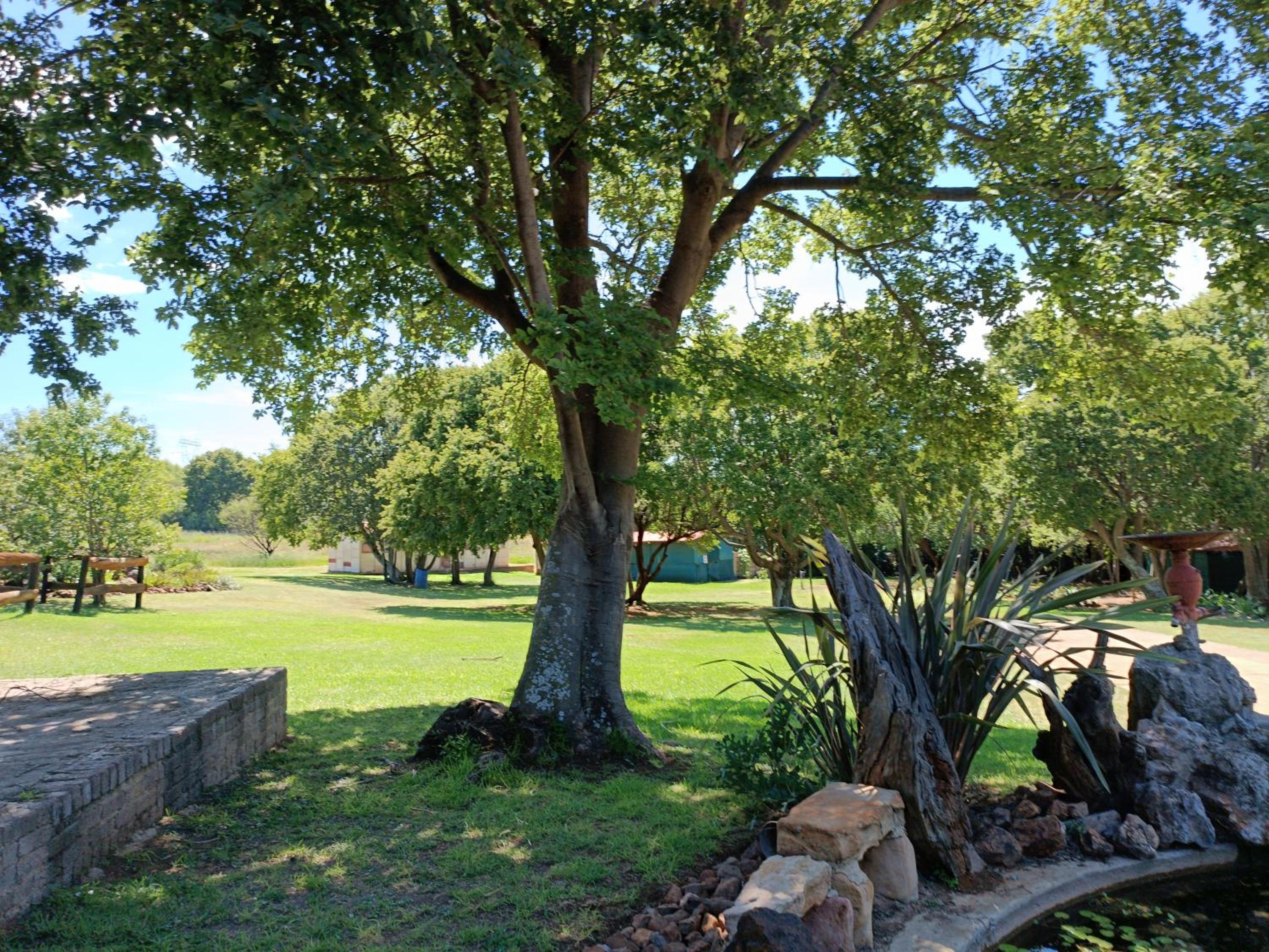 Photo 42