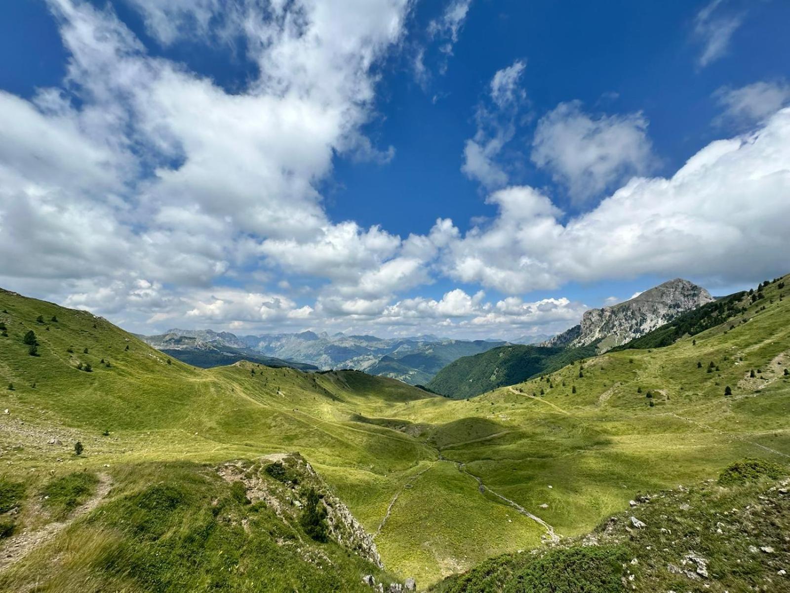 Hostel 90pods & C O working