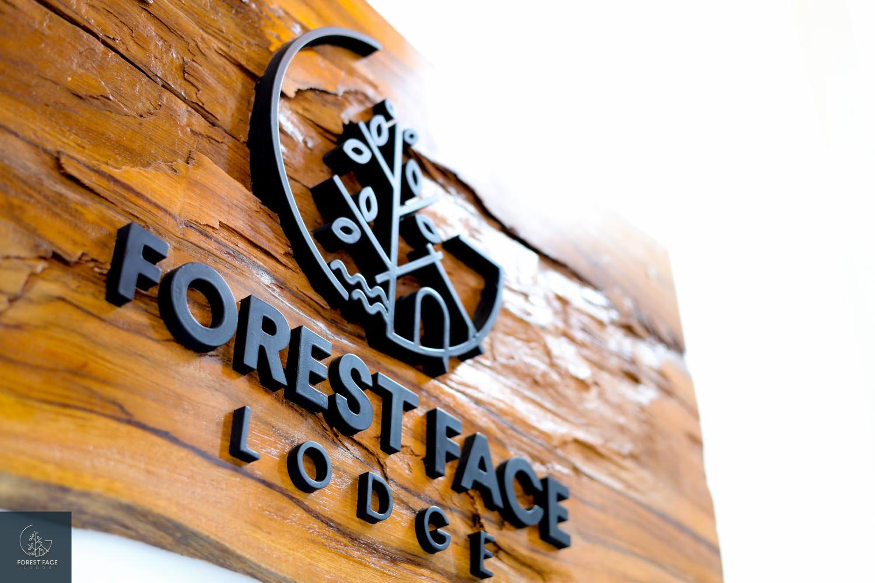 Forest Face Lodge view 2