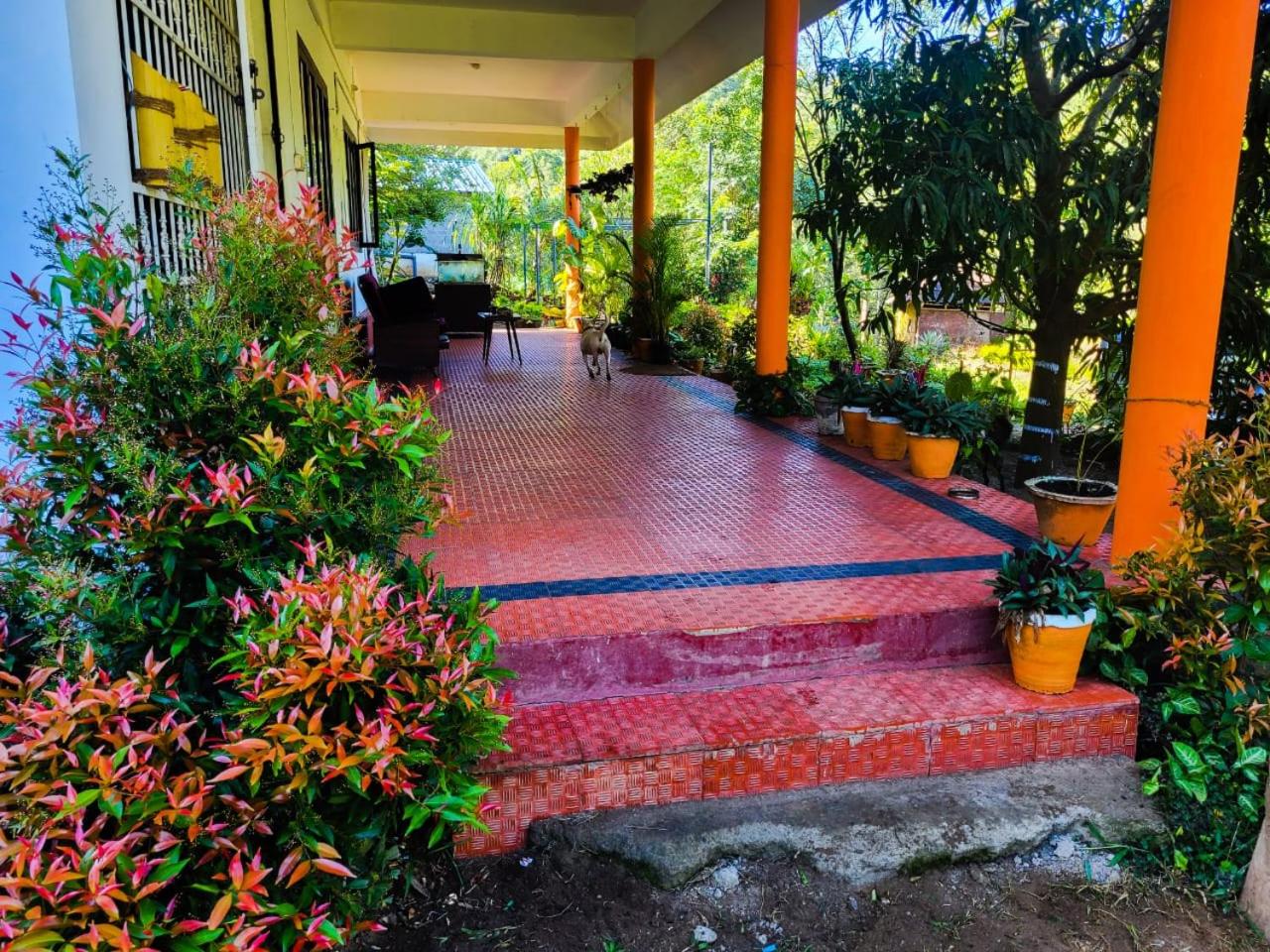 Photo 17