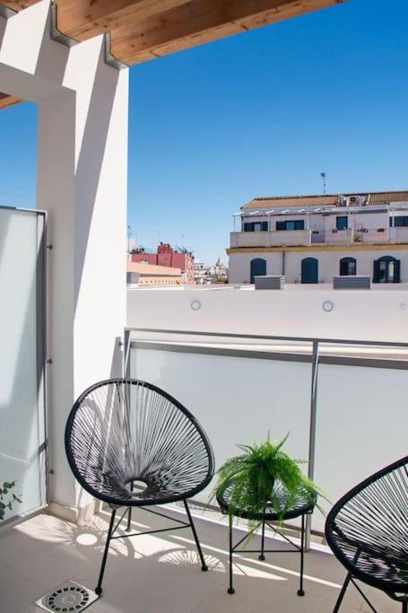 Live Like a Local in This Contemporary Duplex