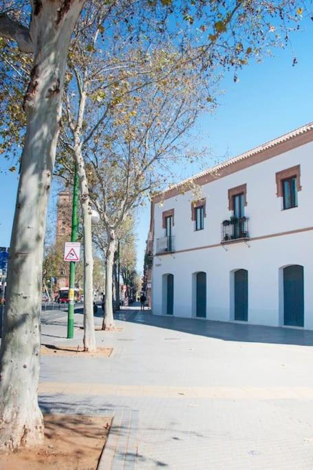 Live Like a Local in This Contemporary Duplex