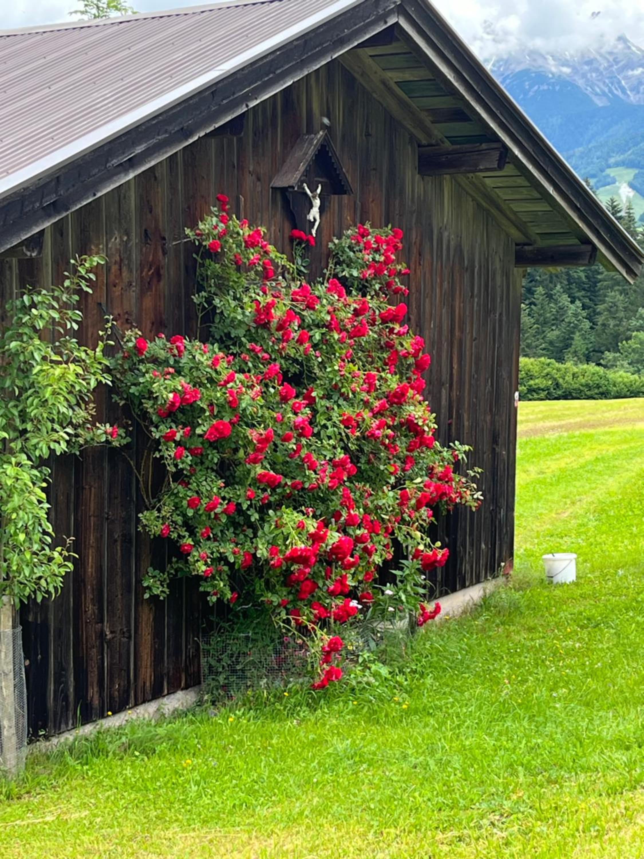 Ferienhäuser Schweitzer