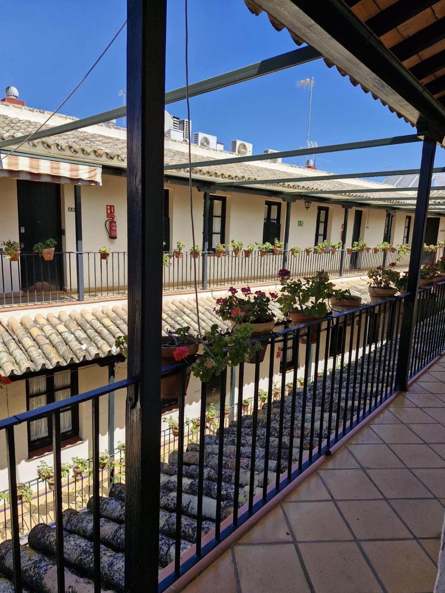 Patio Cartuja