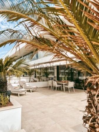 Casa Mostaza Cristal