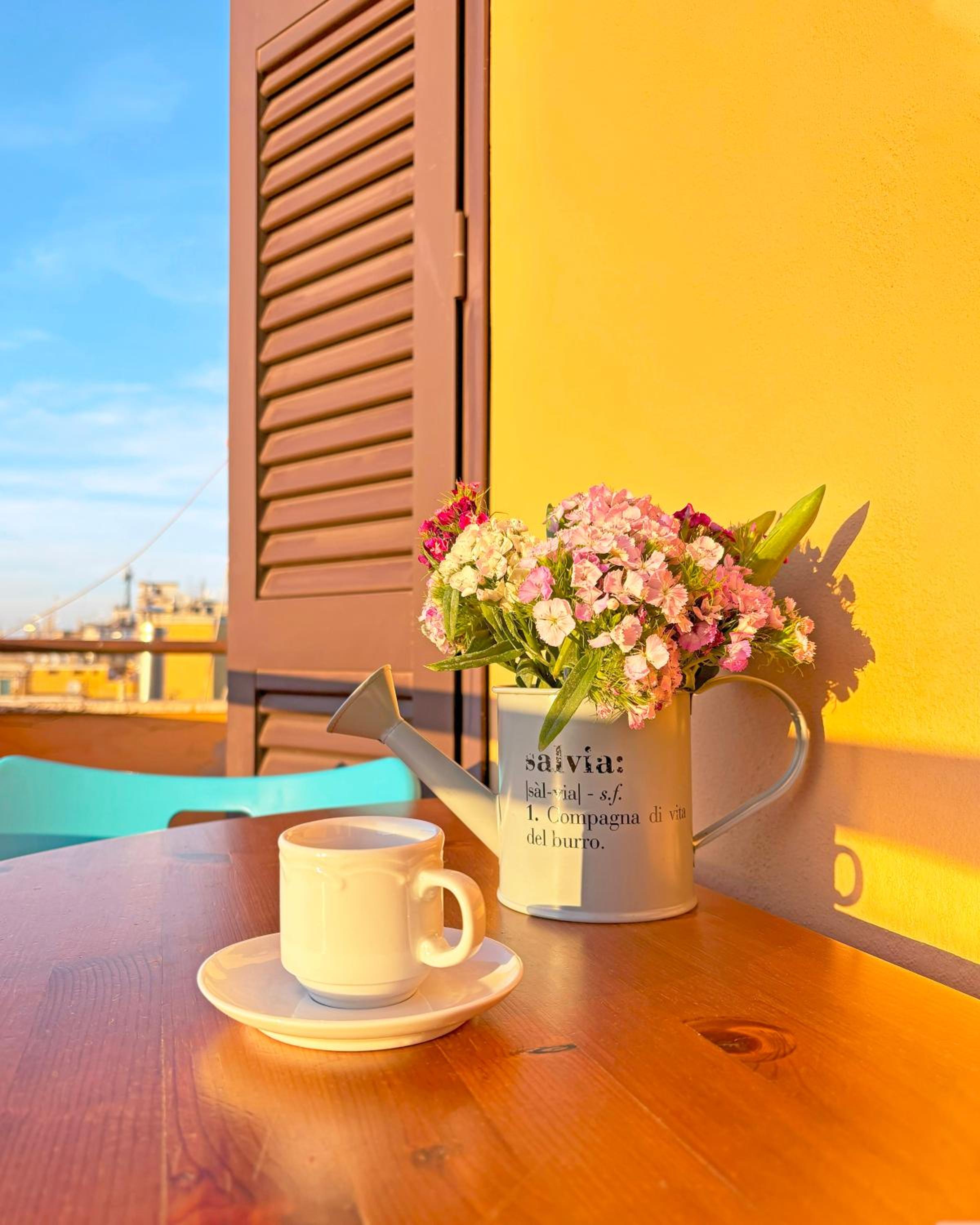 balance & terrace
