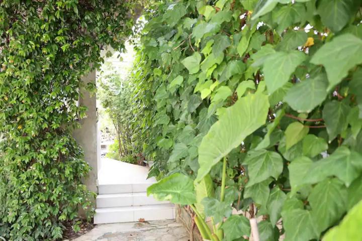 Photo 58