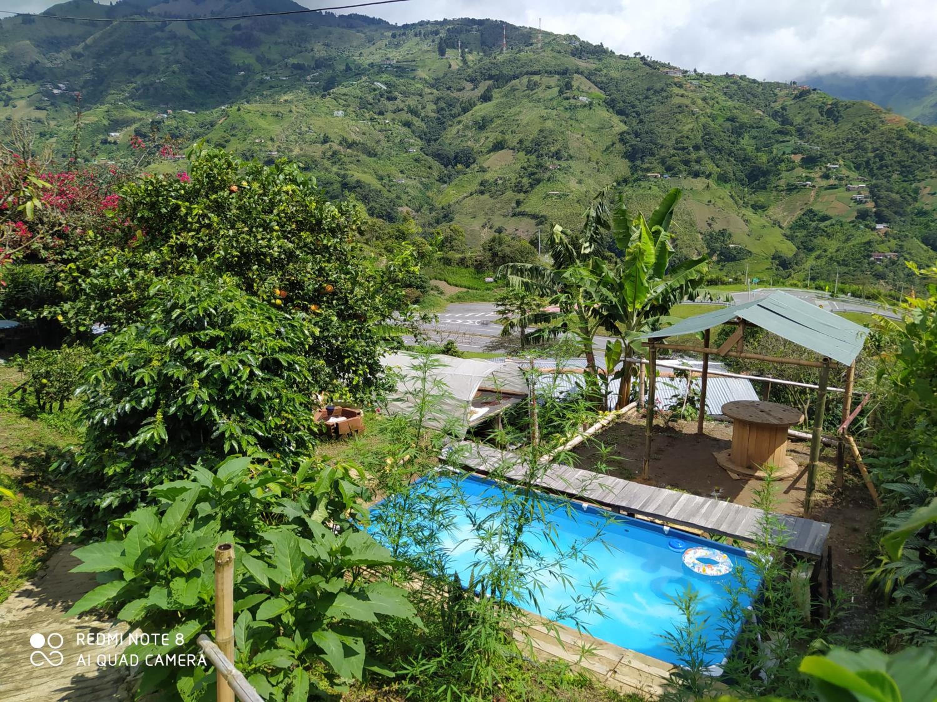 pequeña casa en finca cafetera