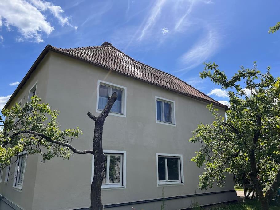 Wunderschöne Wohnung in perfekter Lage