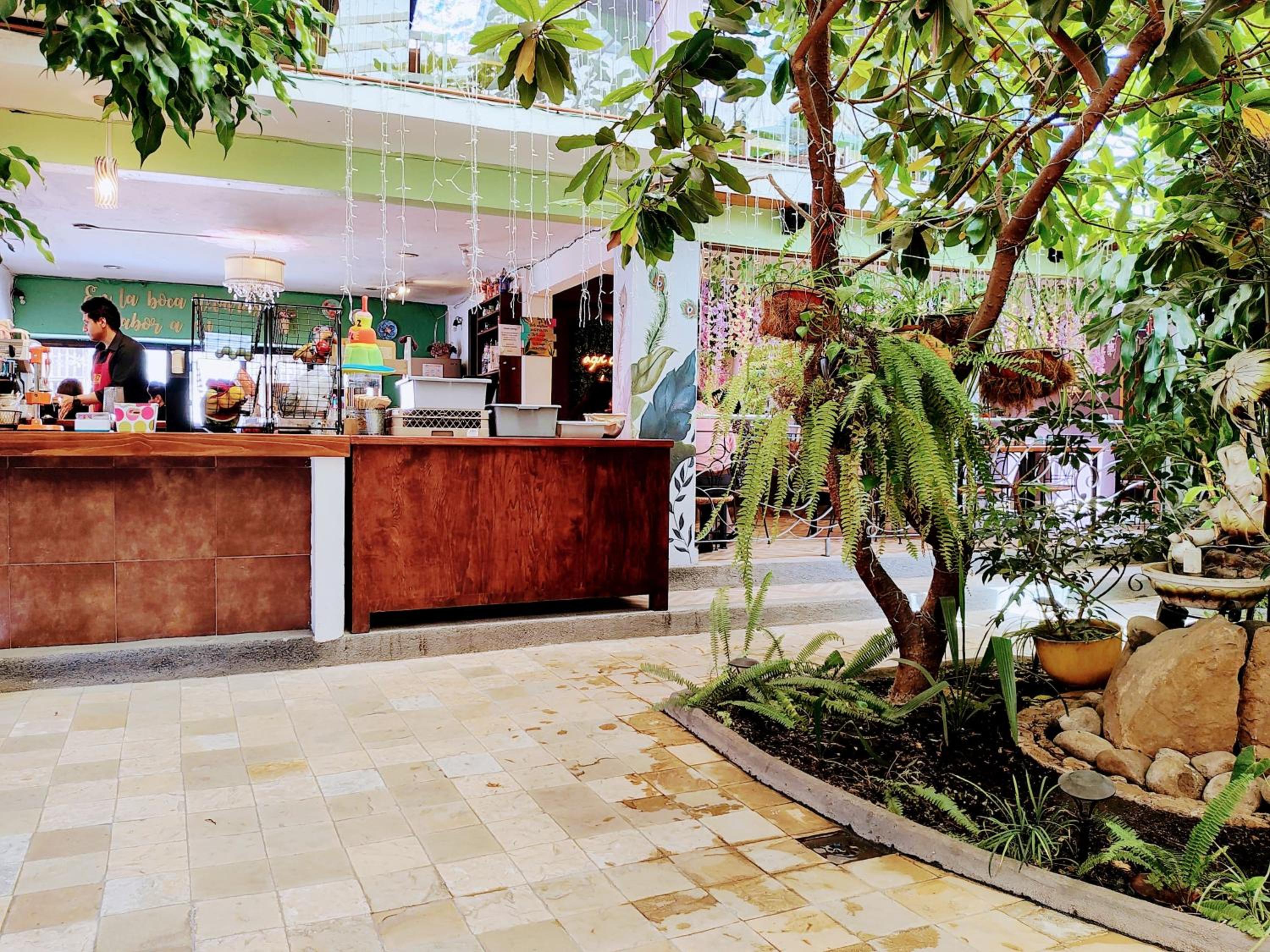 Hotel Jardines del Centro