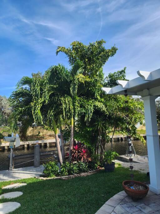 Island Breezes
