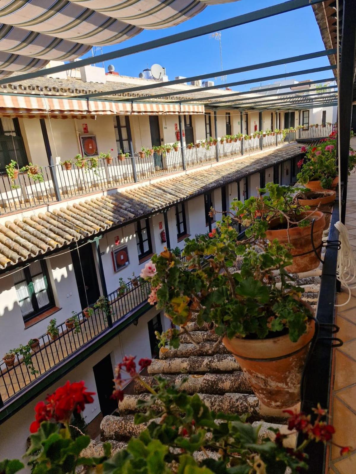 Patio Cartuja