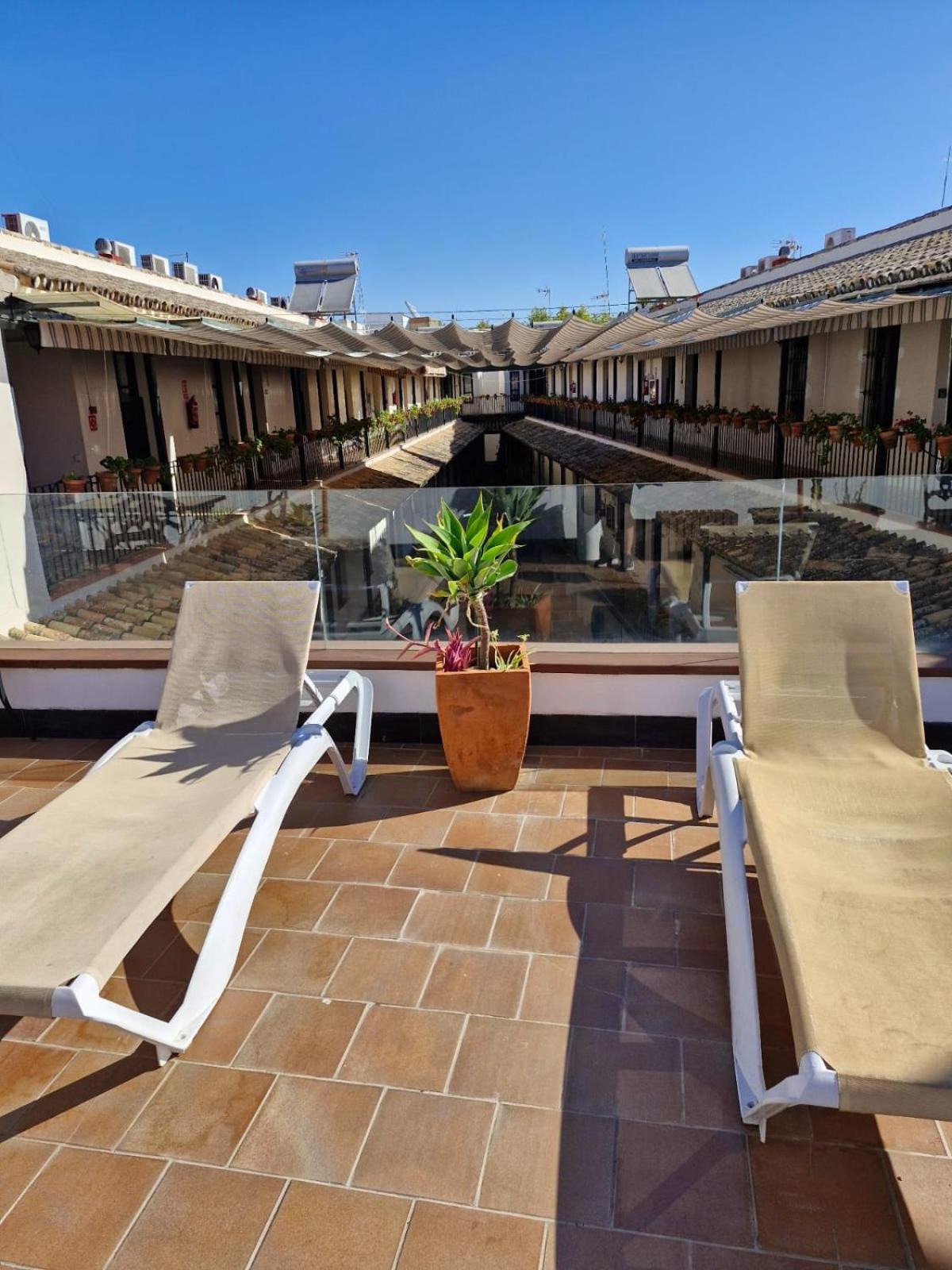 Patio Cartuja