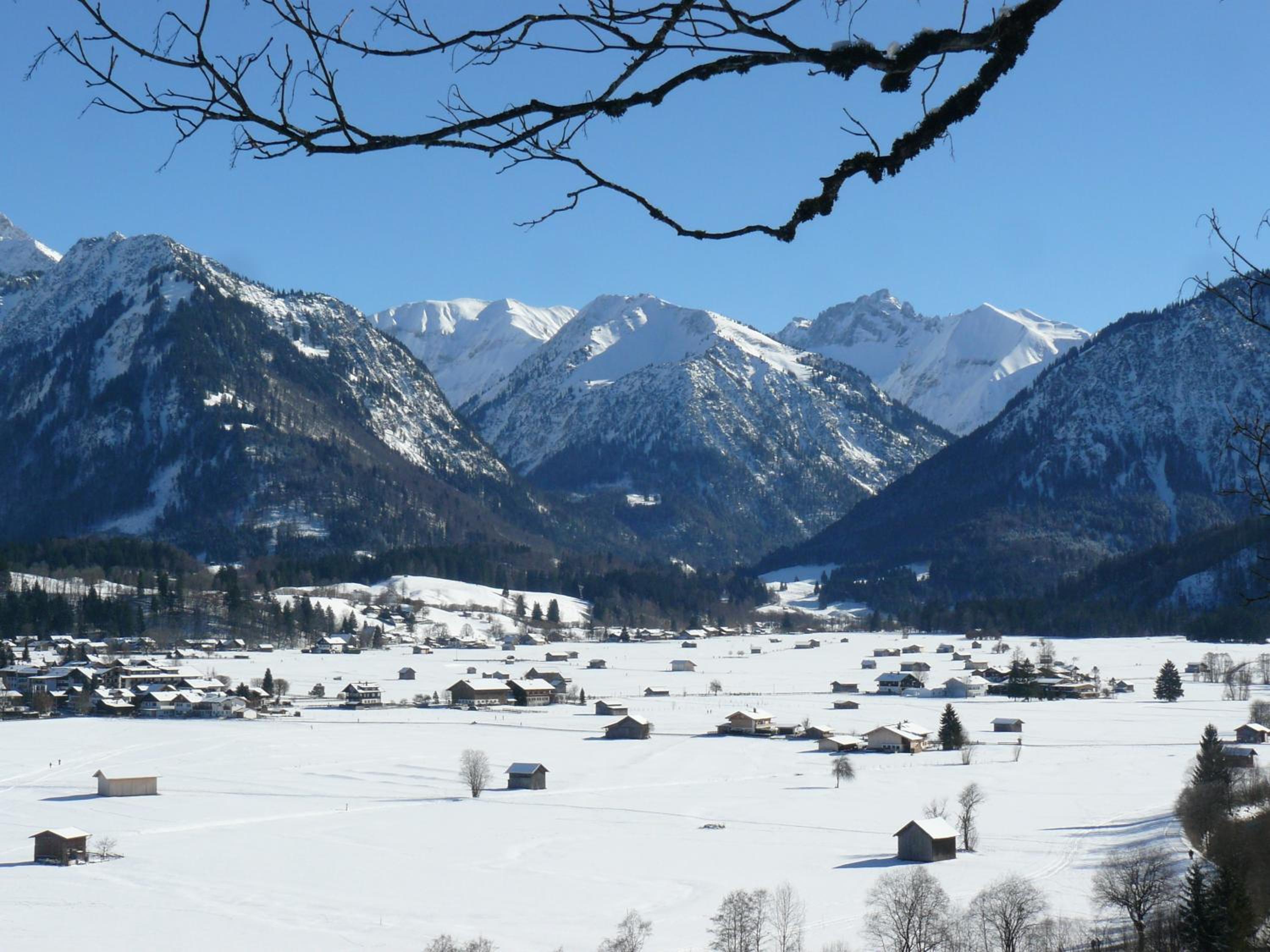 Alphorn Bergnescht