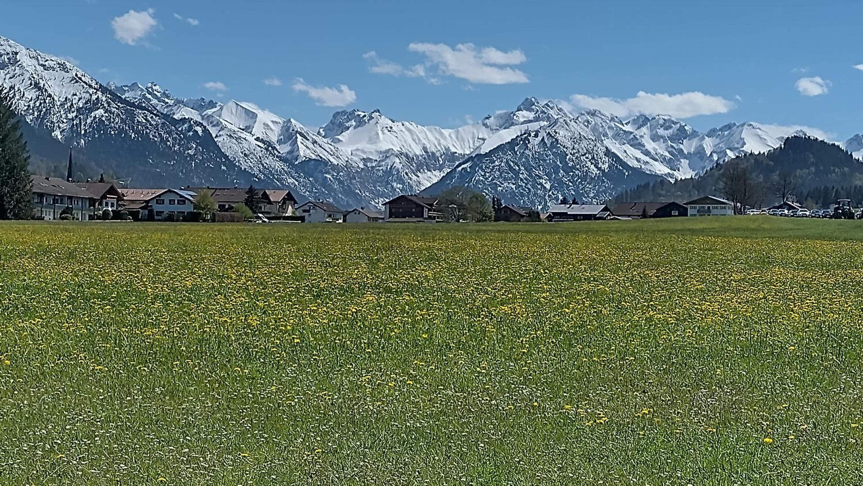 Alphorn Bergnescht