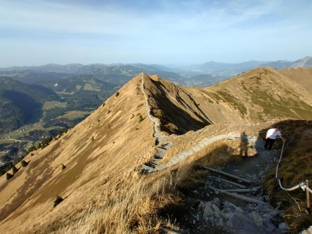 Alphorn Bergnescht
