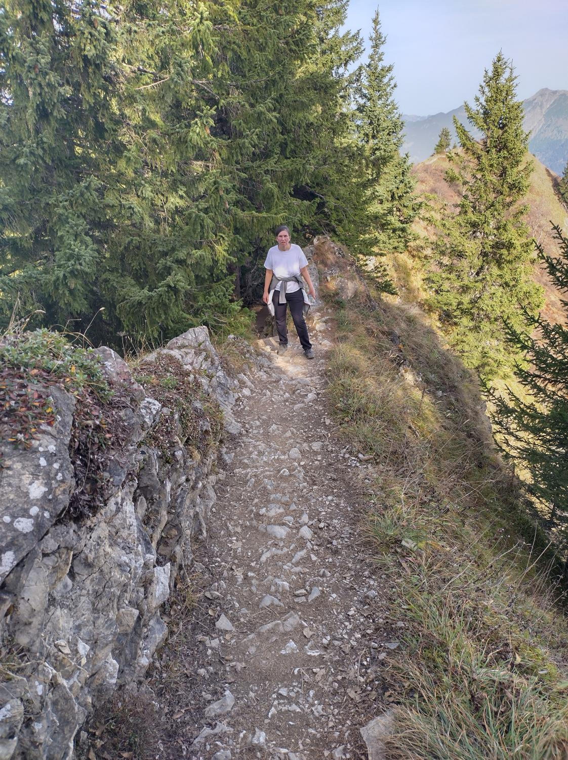 Alphorn Bergnescht