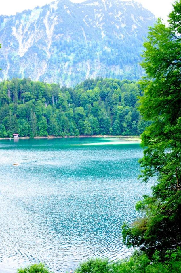 Alphorn Bergnescht
