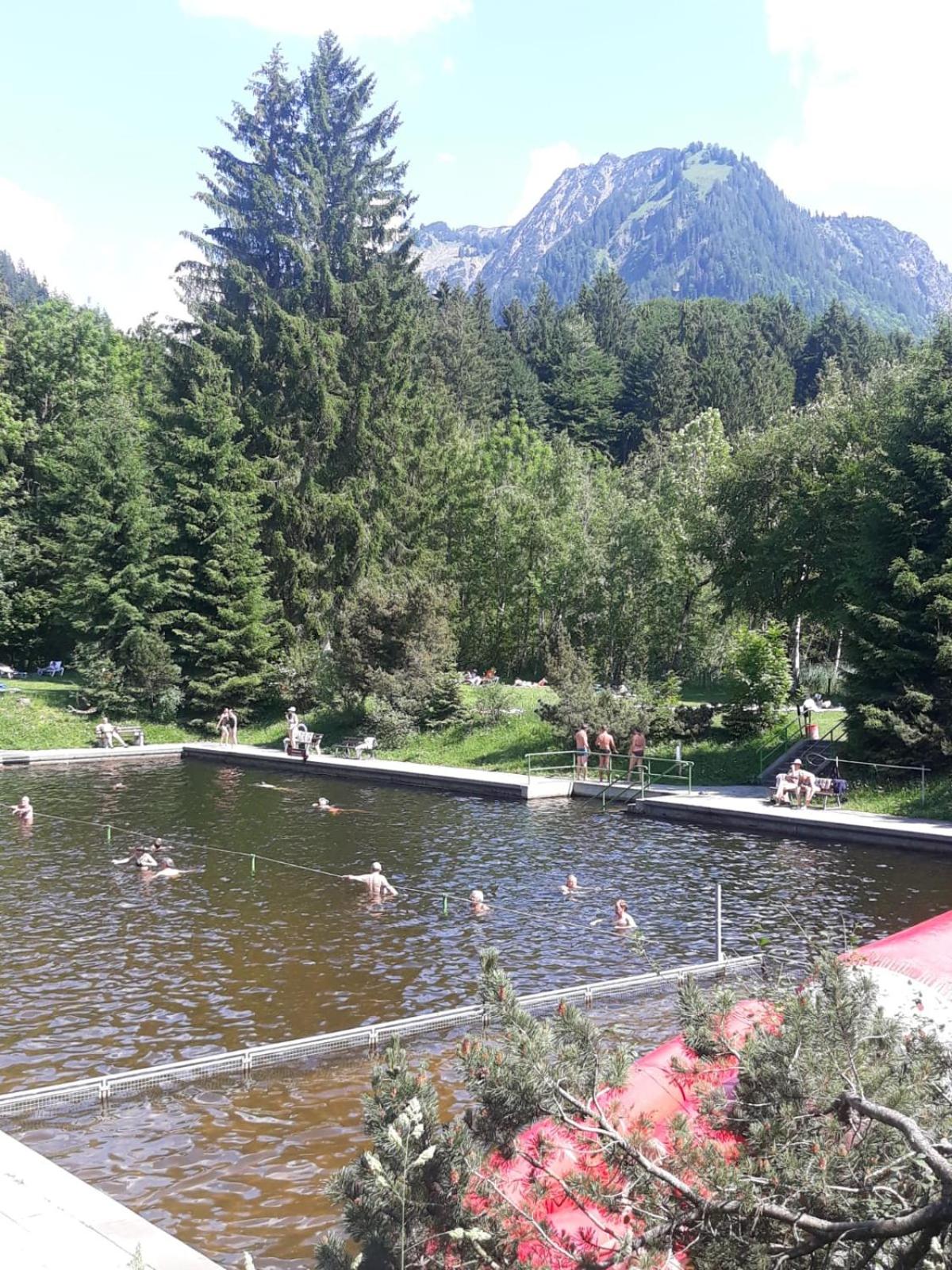 Alphorn Bergnescht