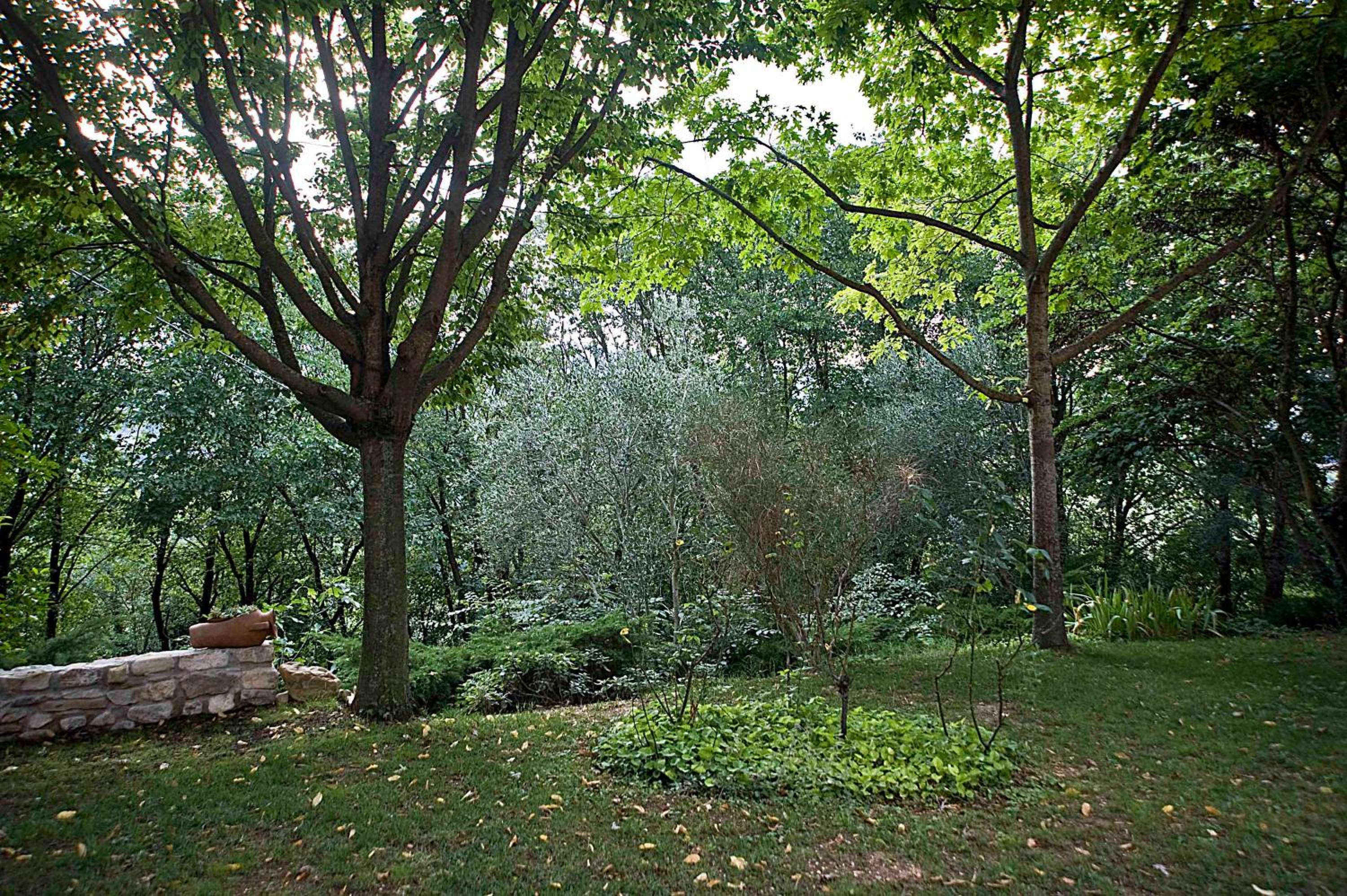 Casale del Monsignore