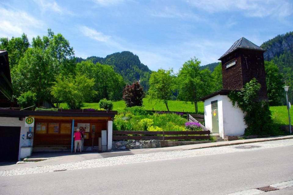 Alphorn Bergnescht