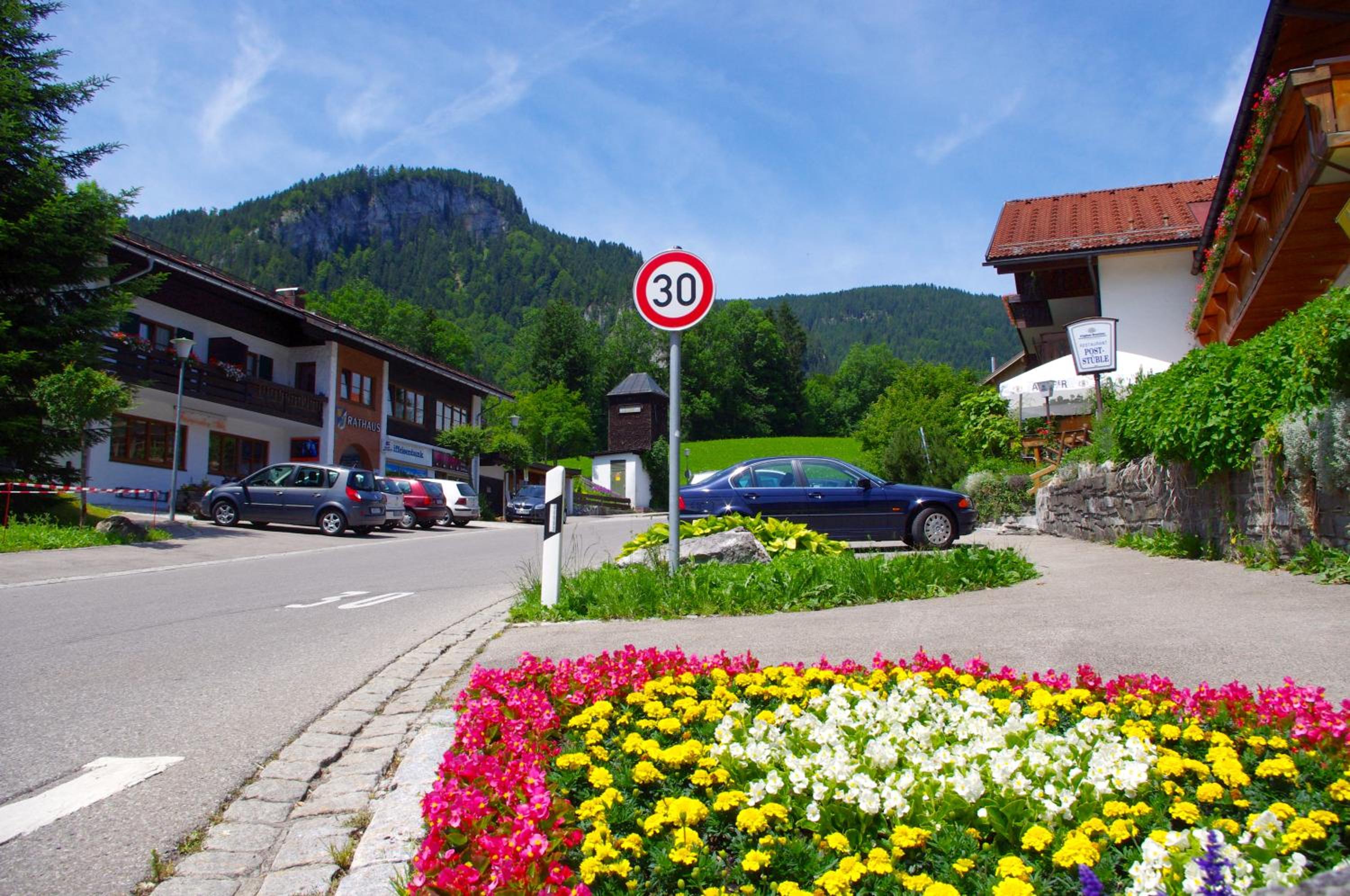 Alphorn Bergnescht