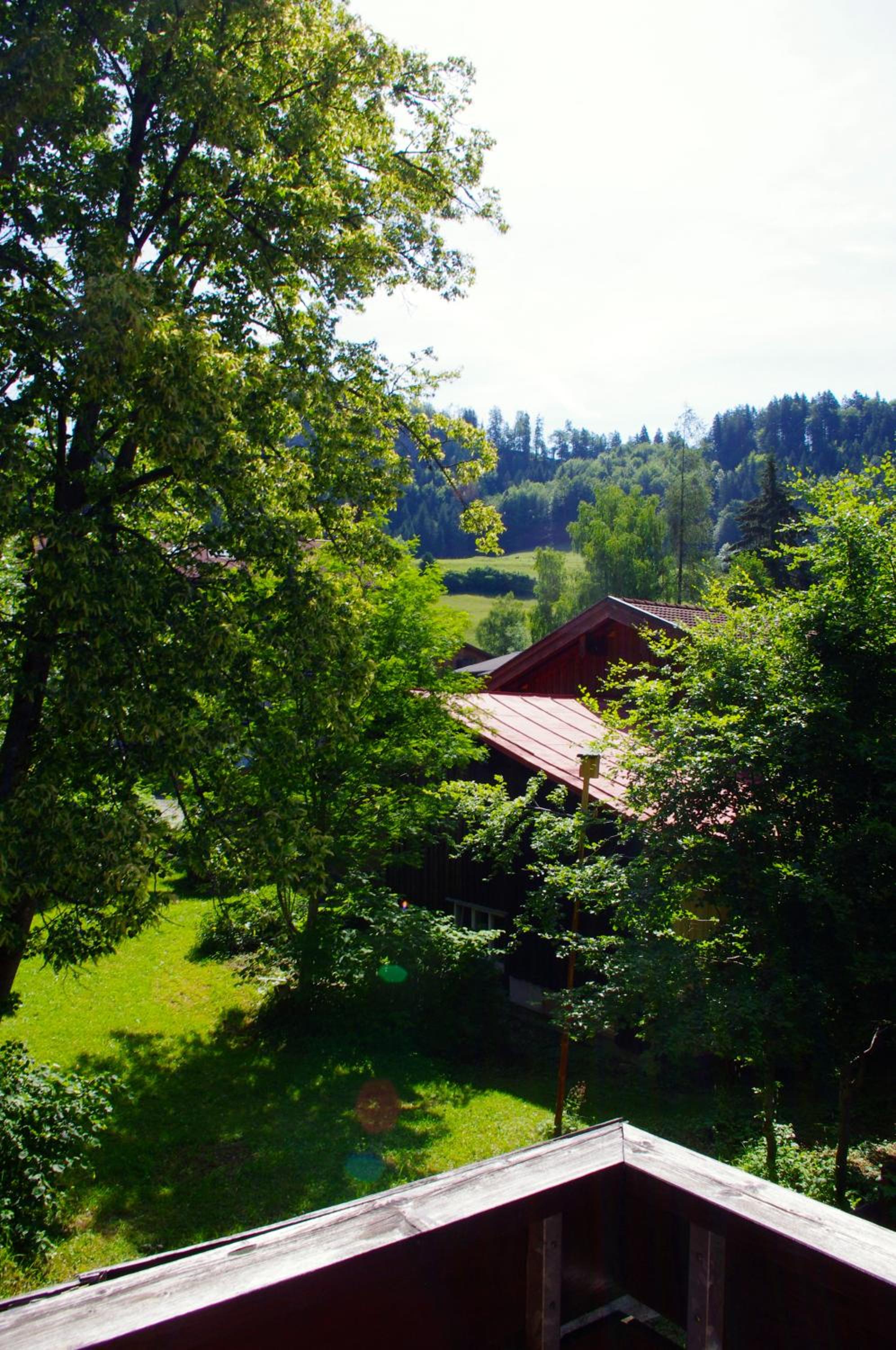 Alphorn Bergnescht