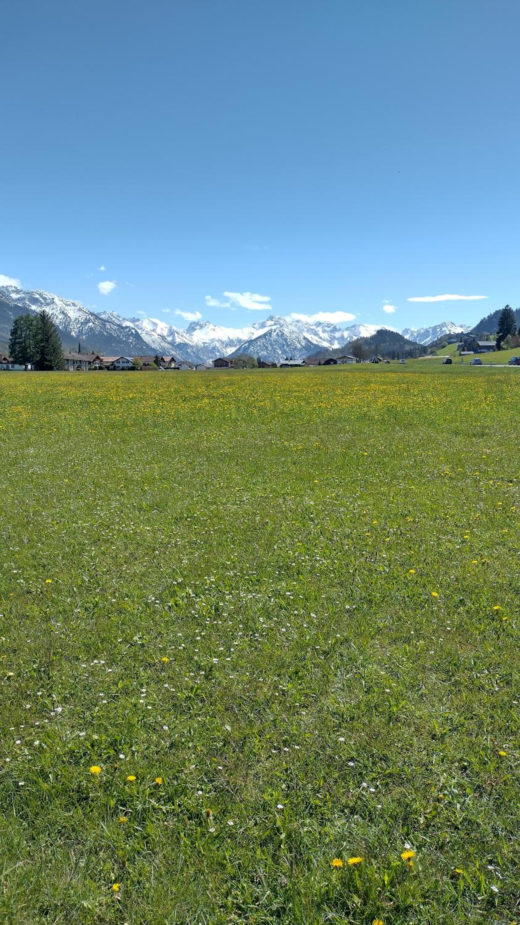 Alphorn Bergnescht