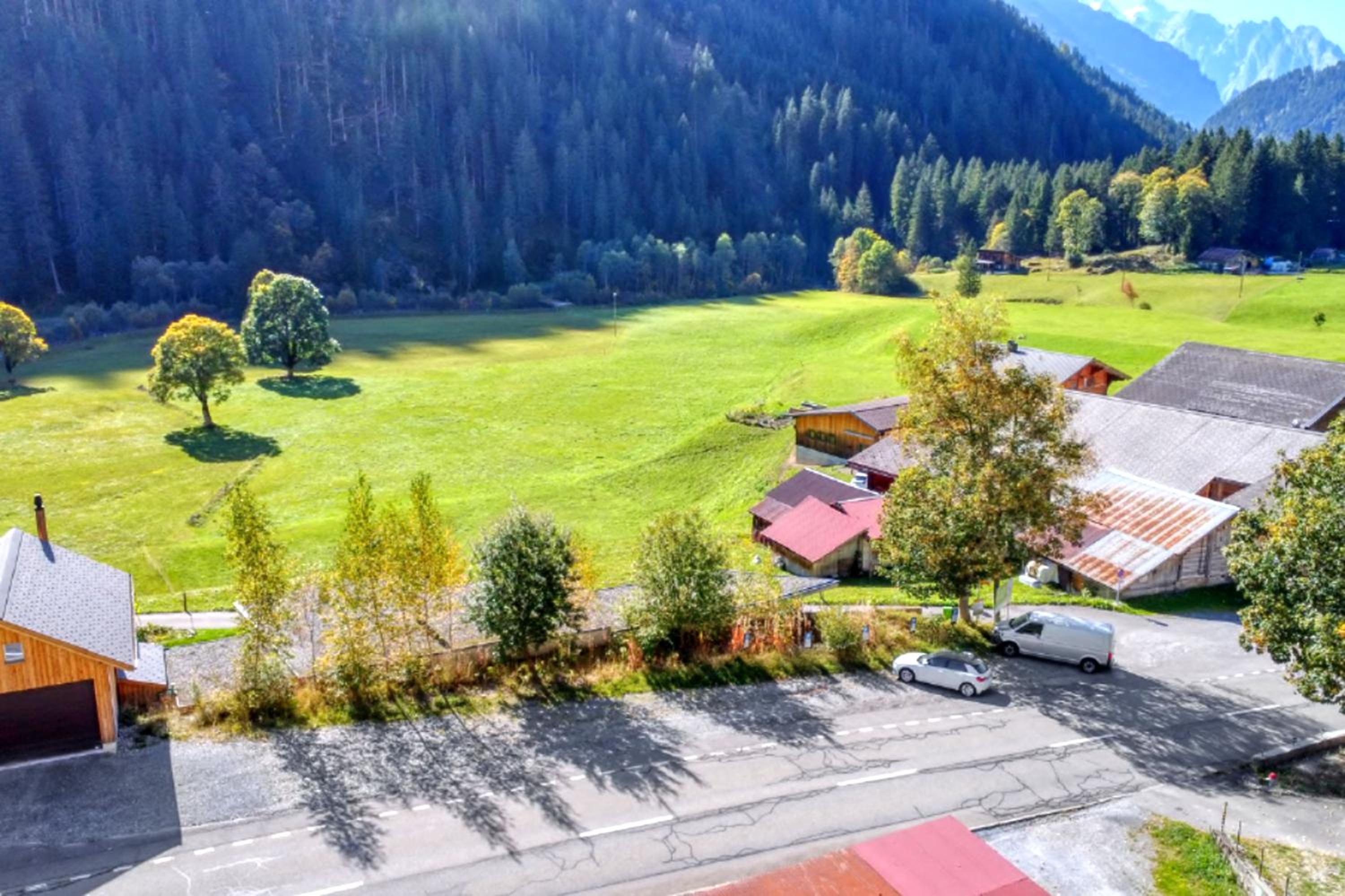 Gadmen Alpenrose, Switzerland