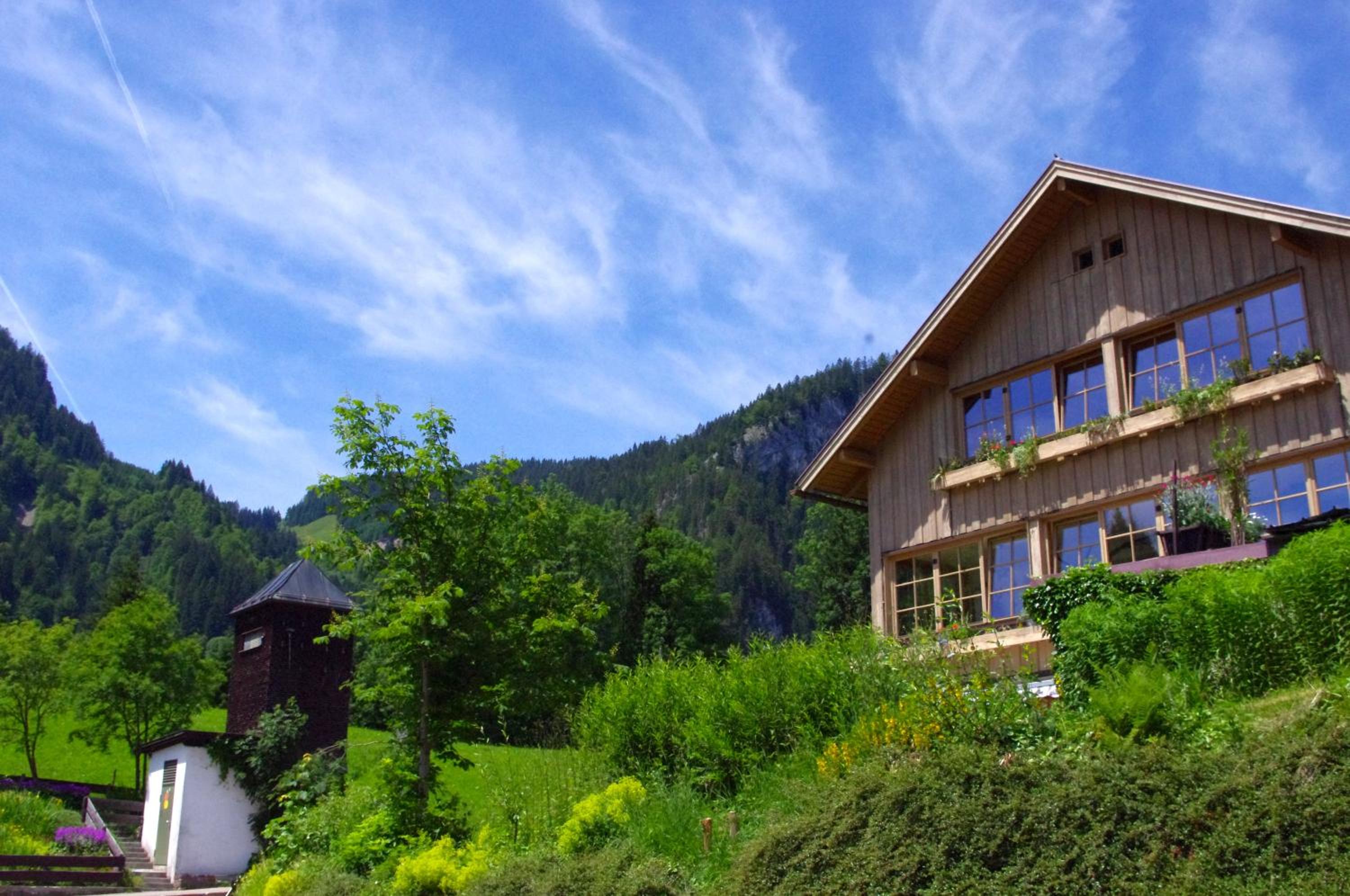 Alphorn Bergnescht