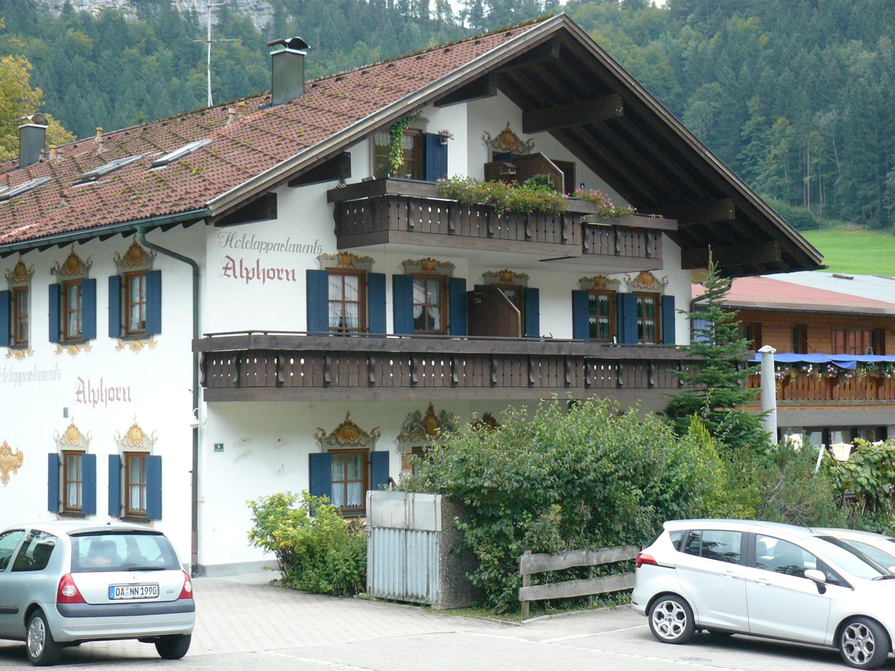 Alphorn Bergnescht