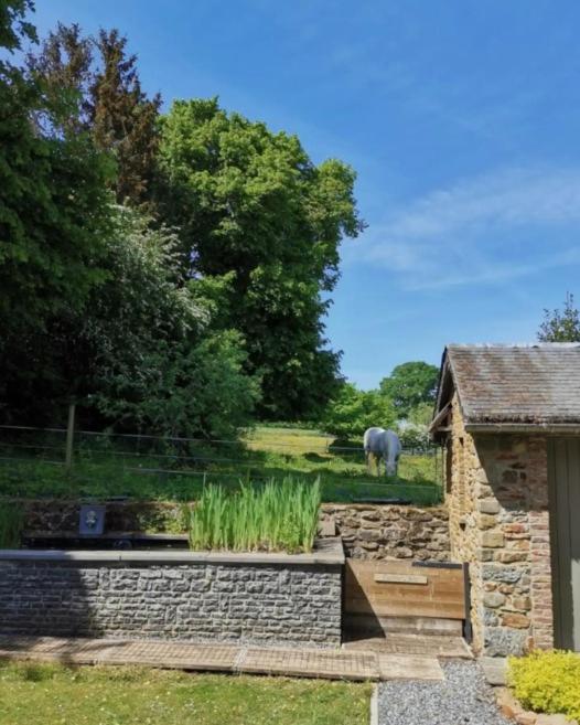 Le repos Ardenne (Fays-Famenne)