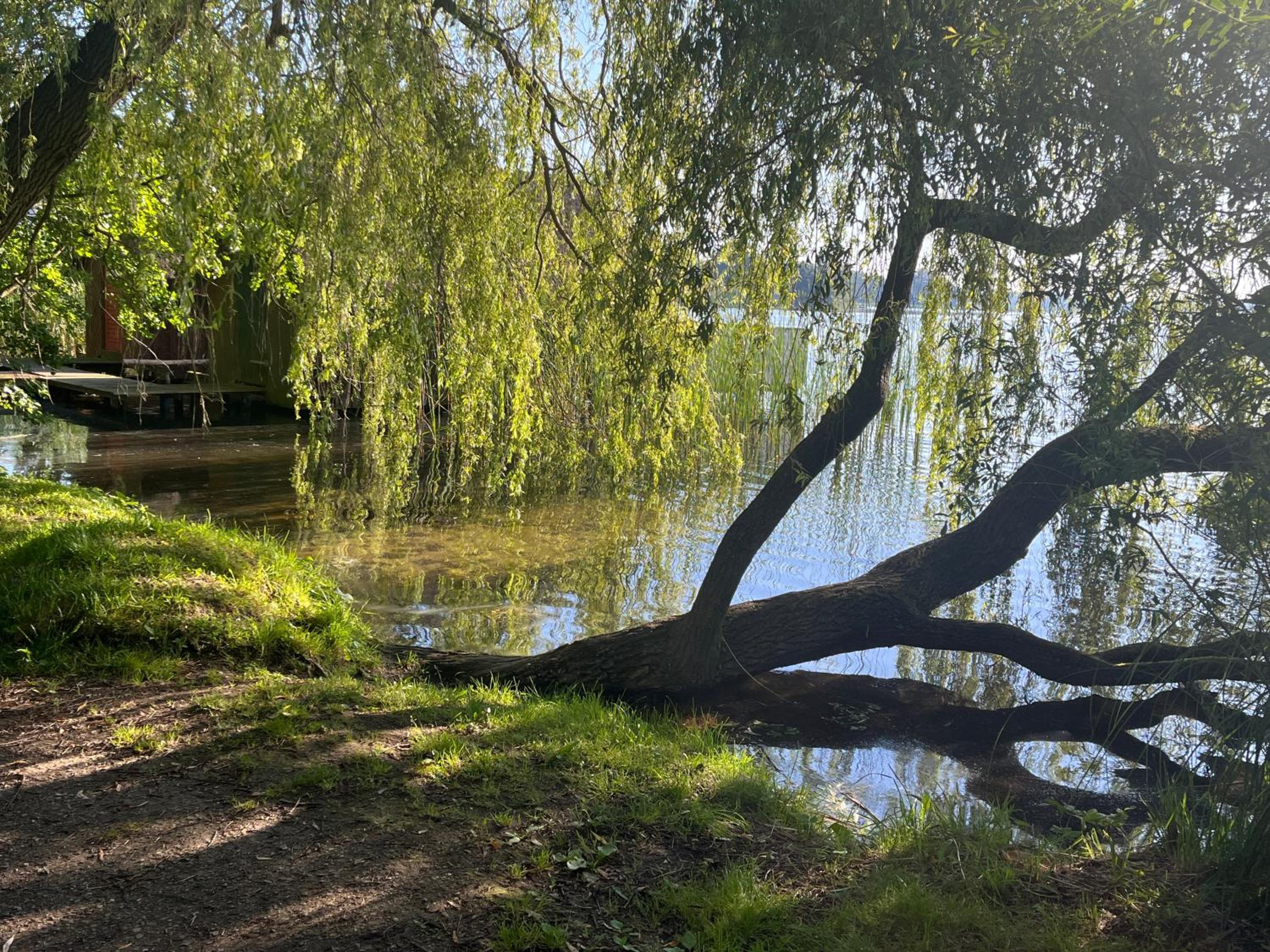Exklusive 5 Sterne Seeresidenz, Sauna, See, Hund