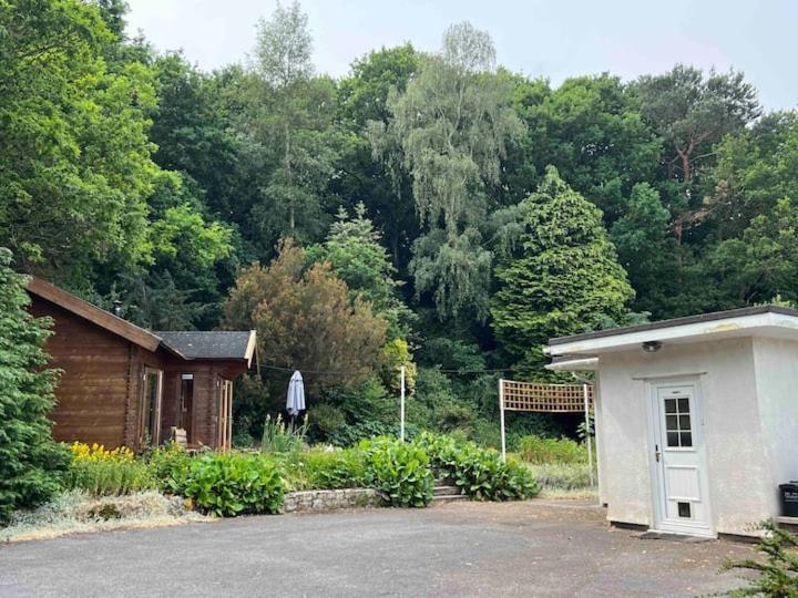 The 'SHED' Log Cabin, Bishop Sutton view 2