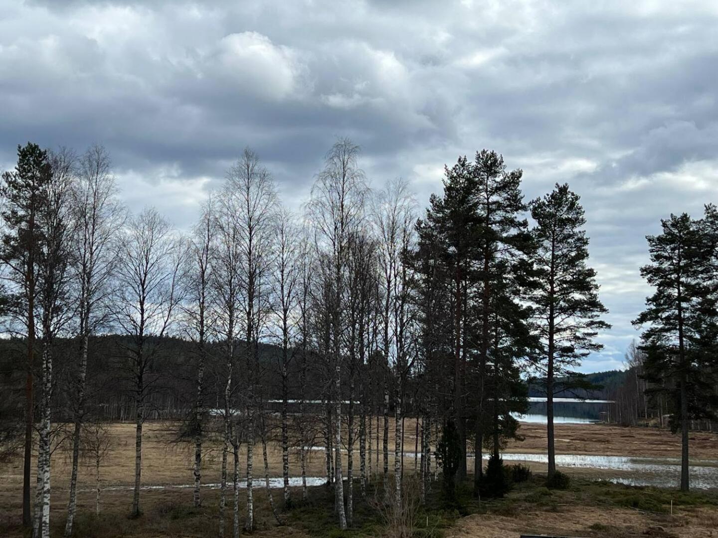 Stor leilighet på Finnskogen - stillhet og ro view 3