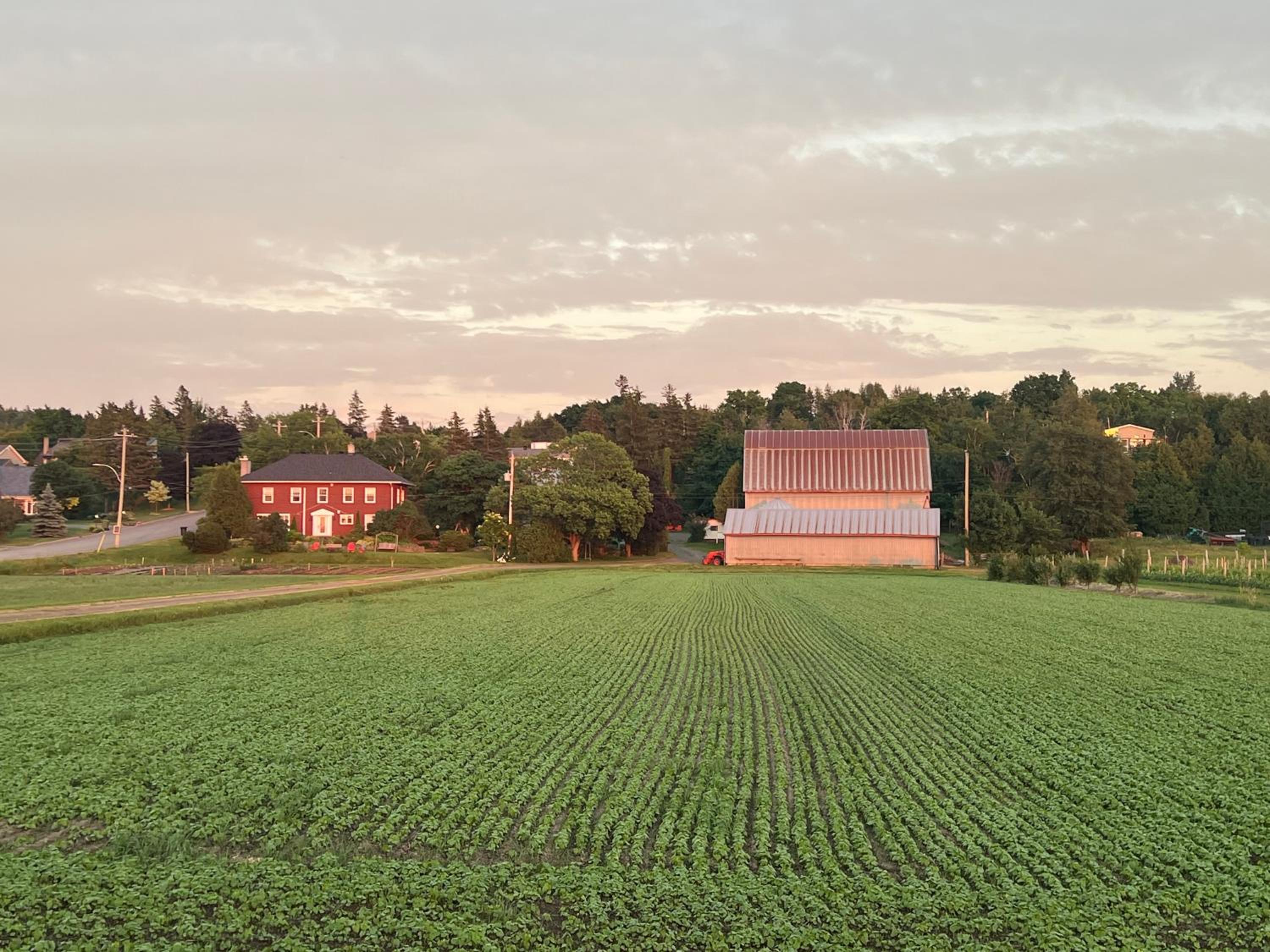 La Maison Rouge - Bed & Breakfast - La Pocatière