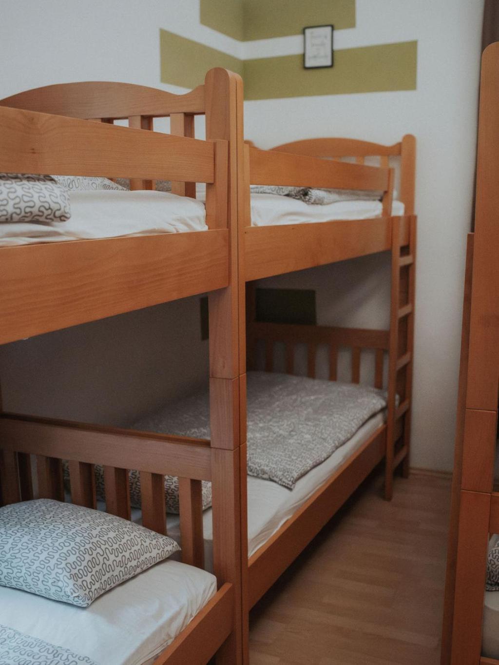 Hostel Scardona