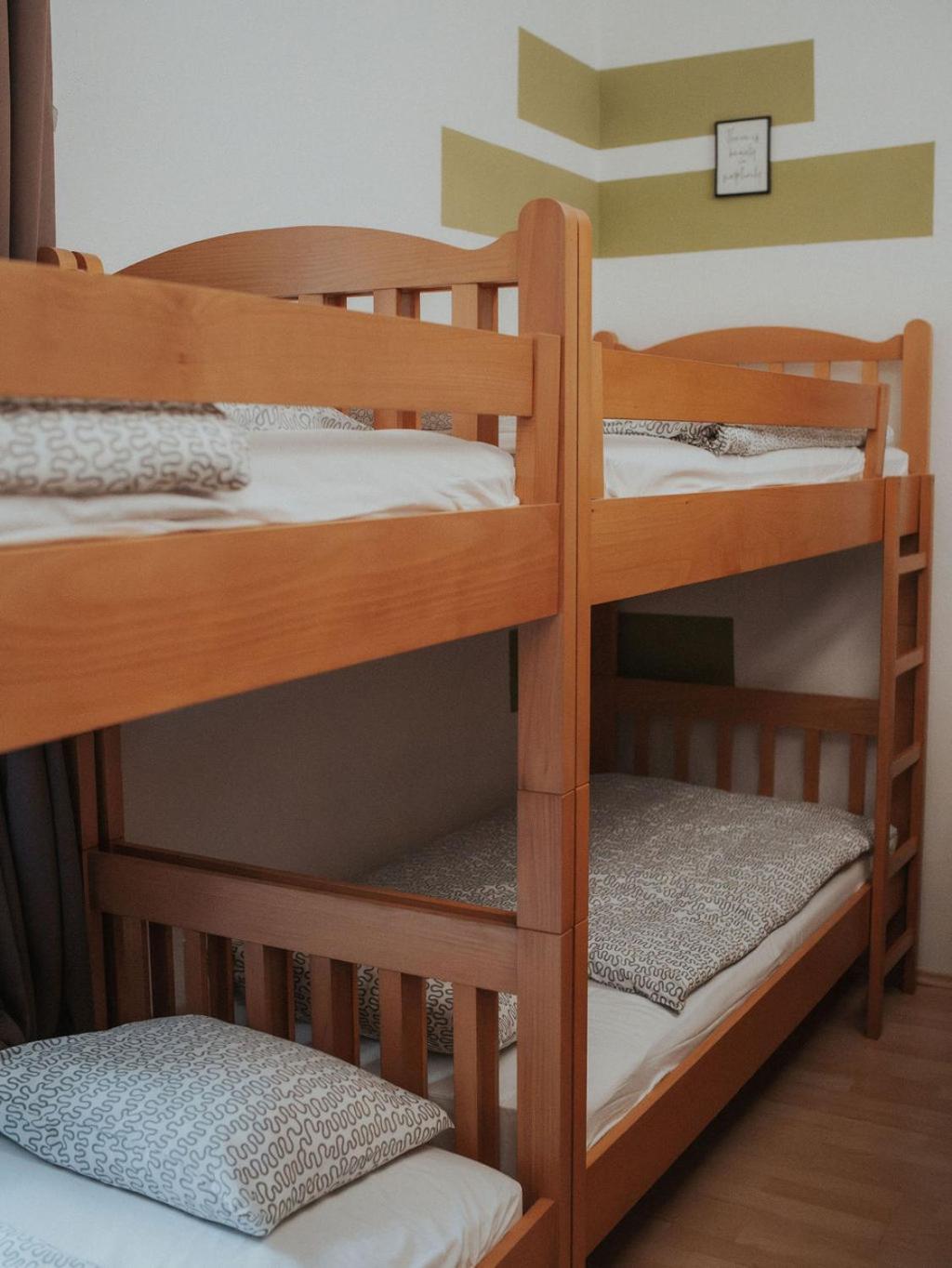 Hostel Scardona
