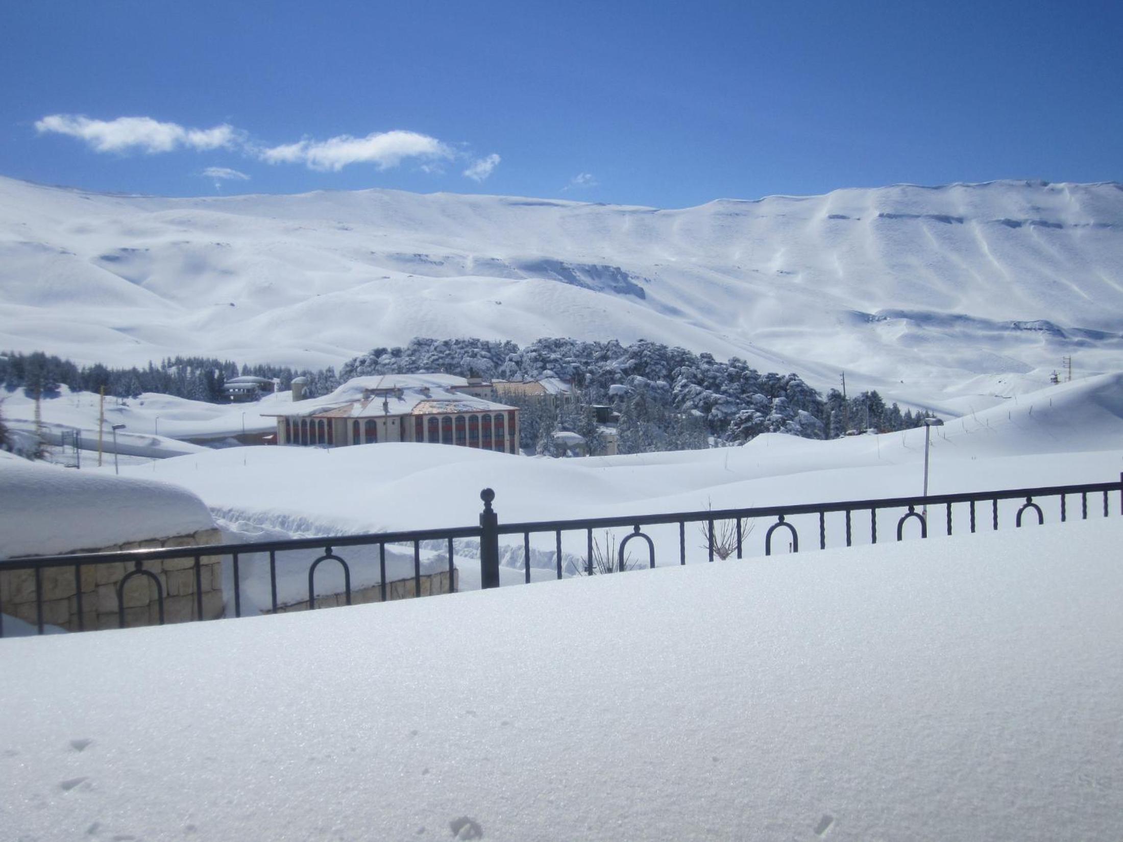 Cedars Palace