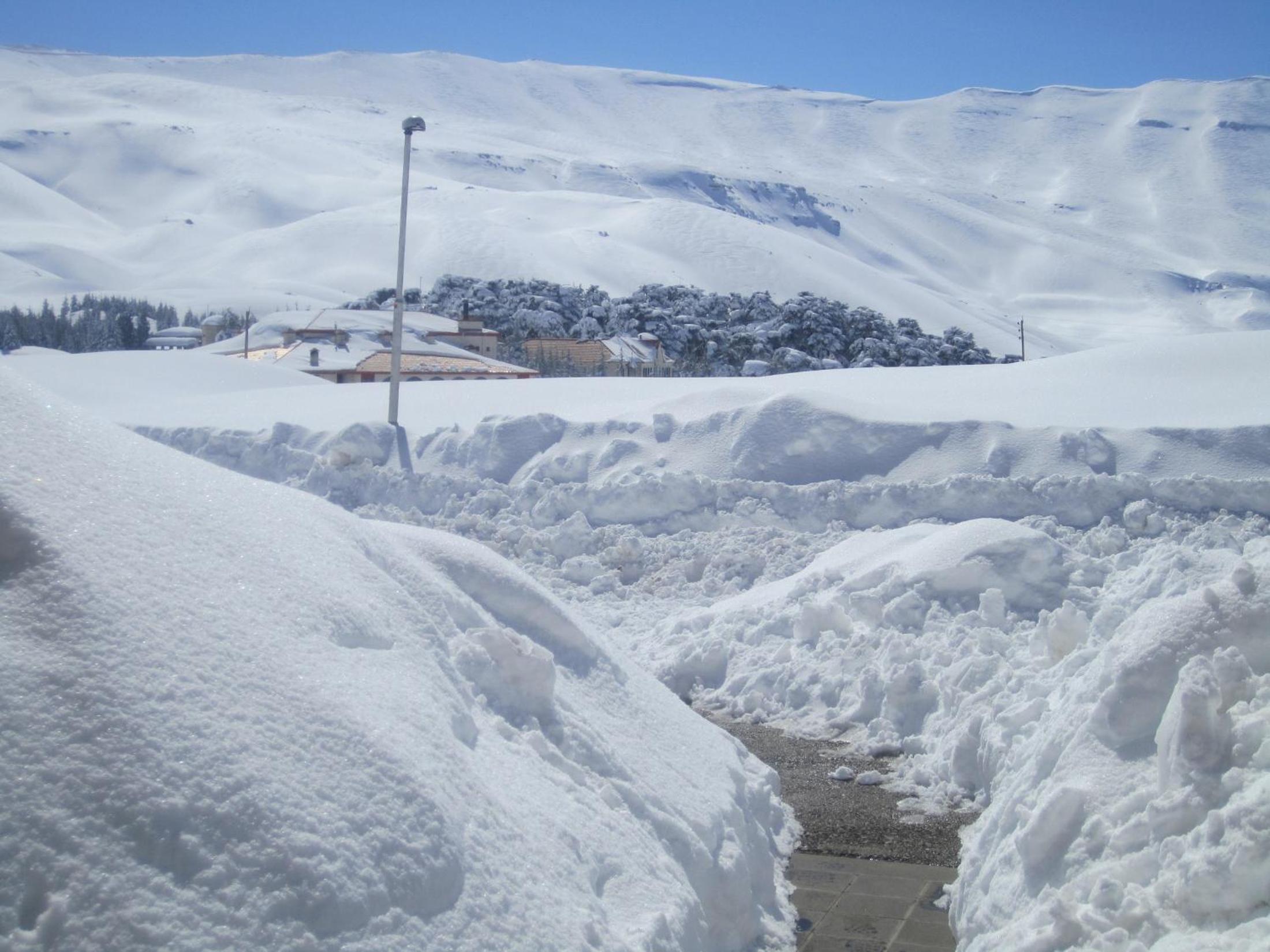 Cedars Palace