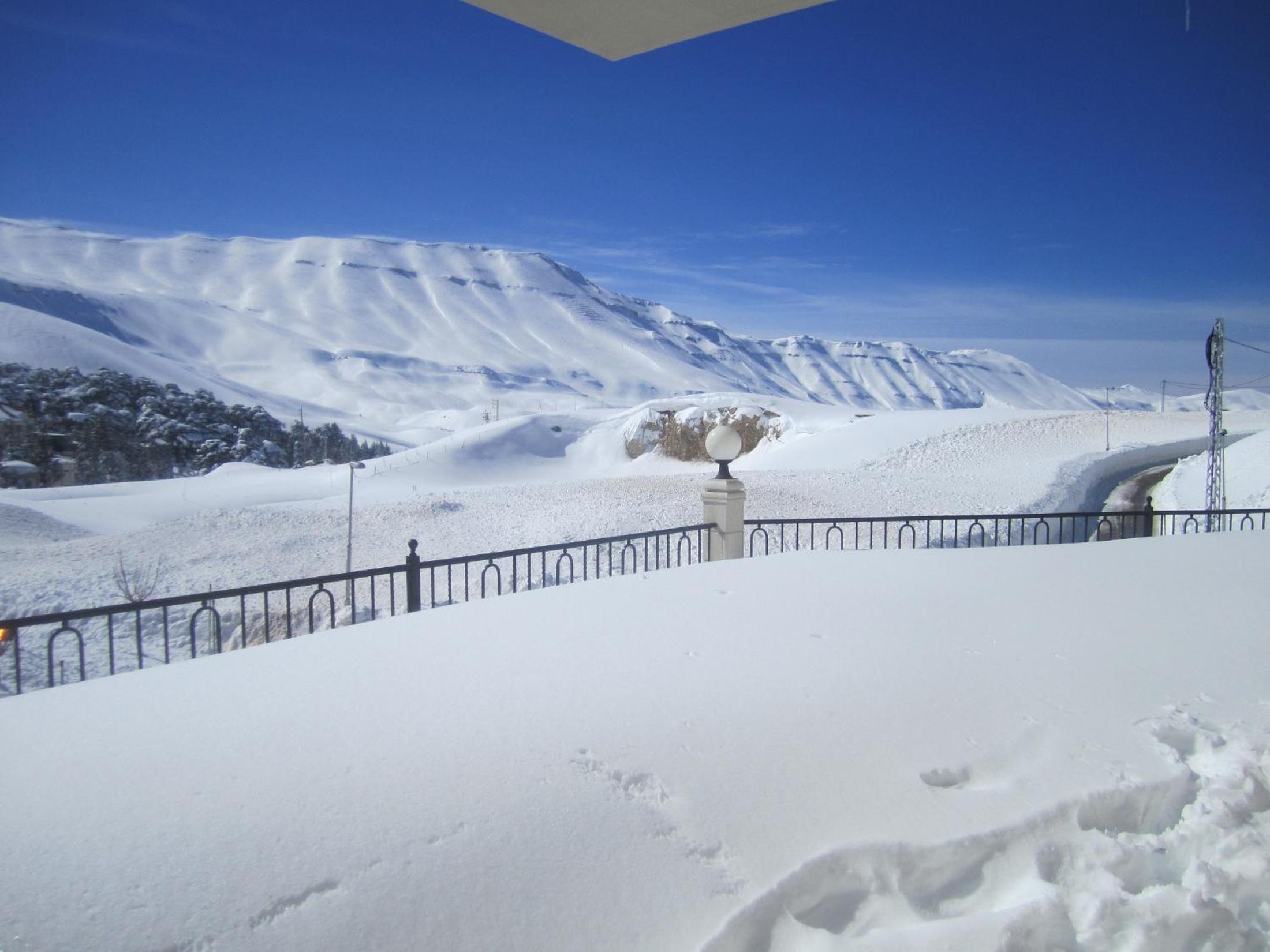 Cedars Palace