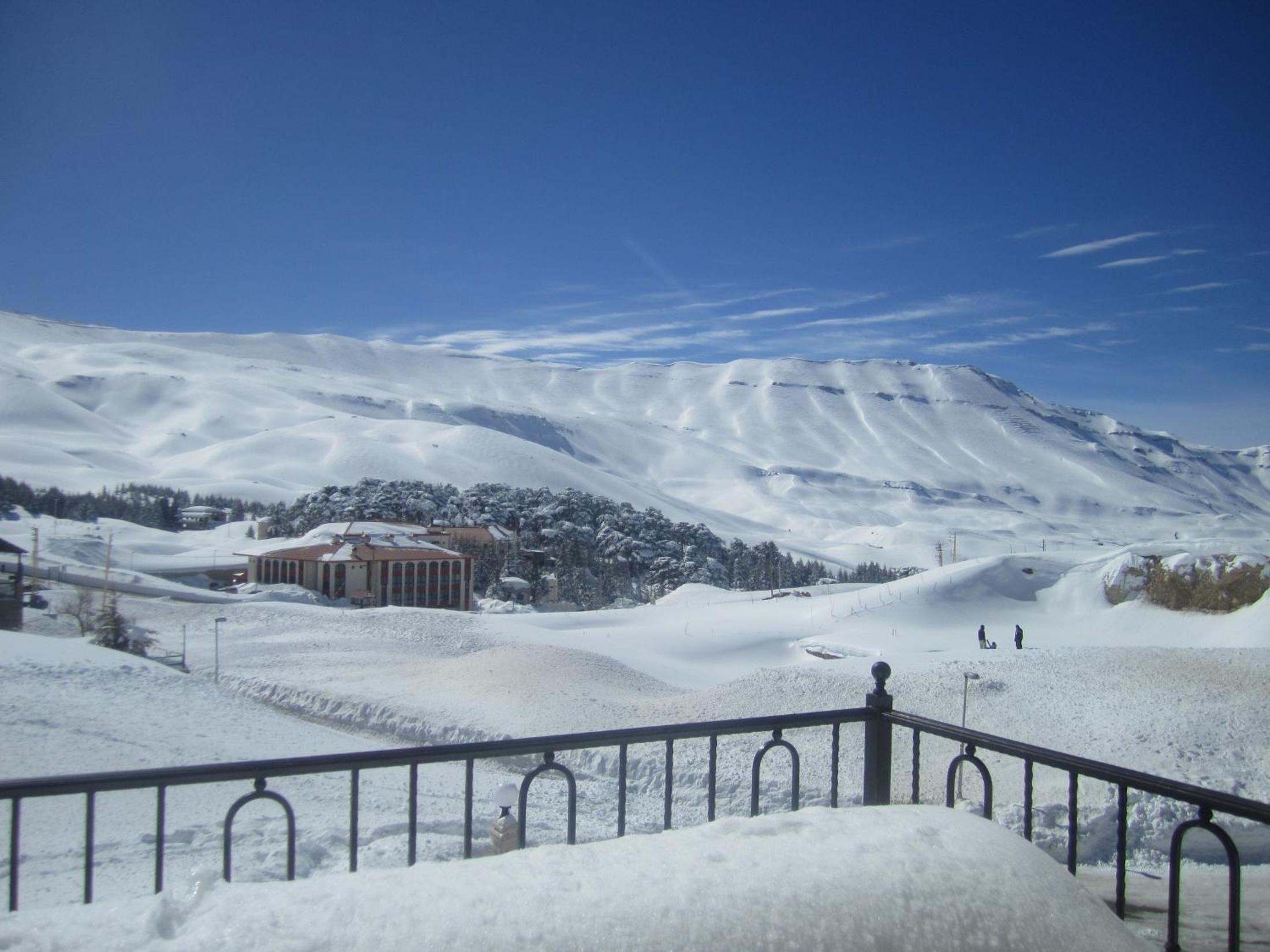 Cedars Palace