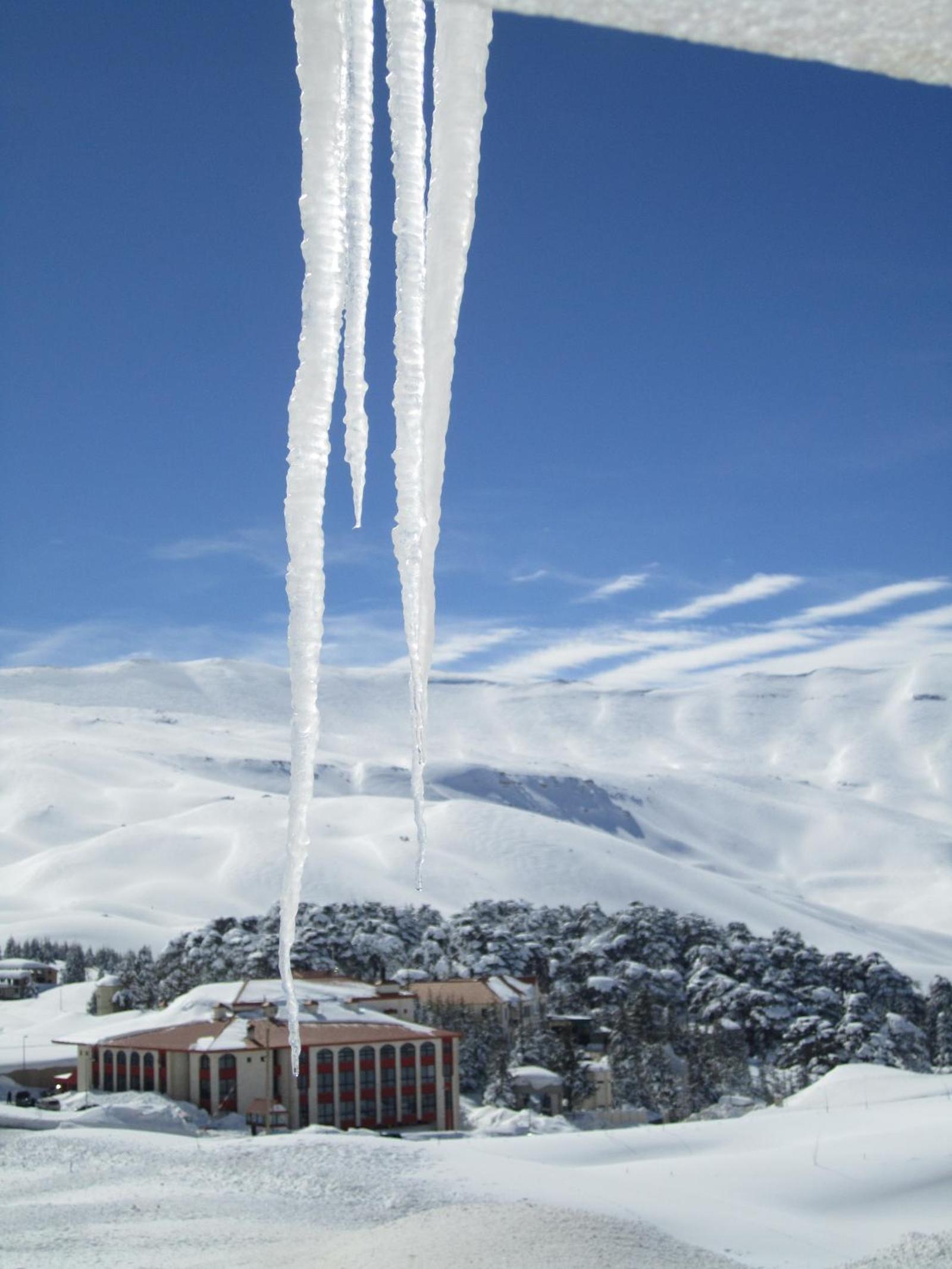 Cedars Palace