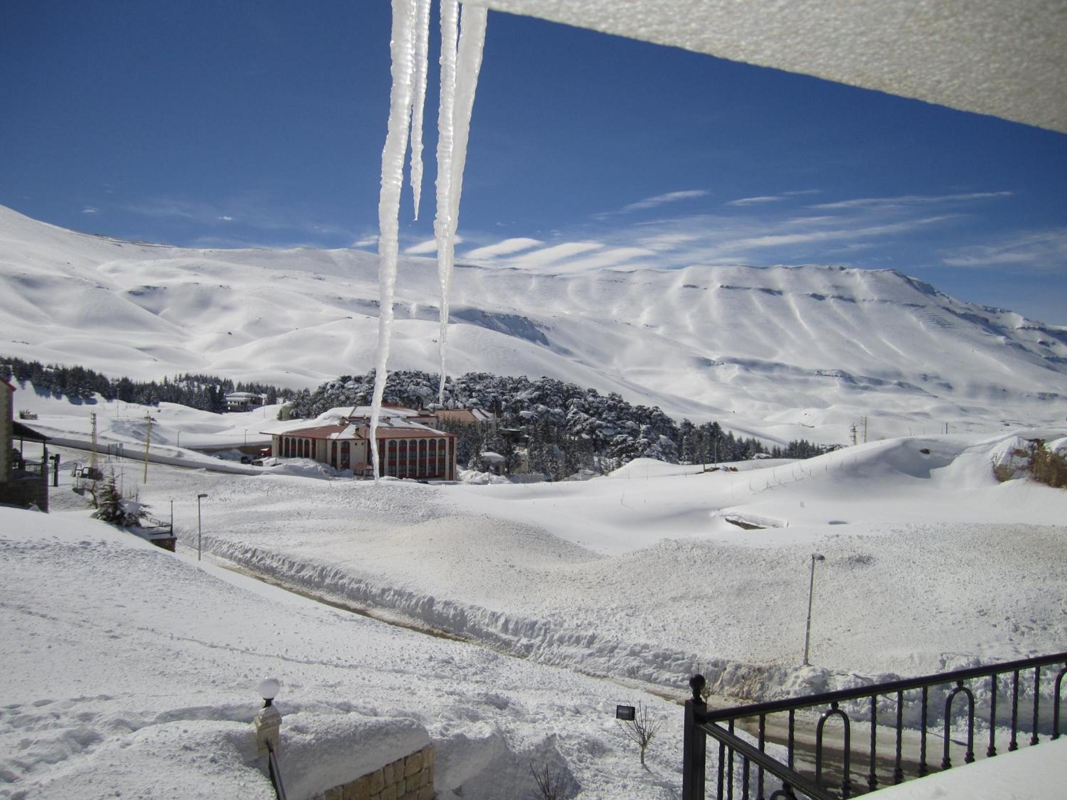 Cedars Palace