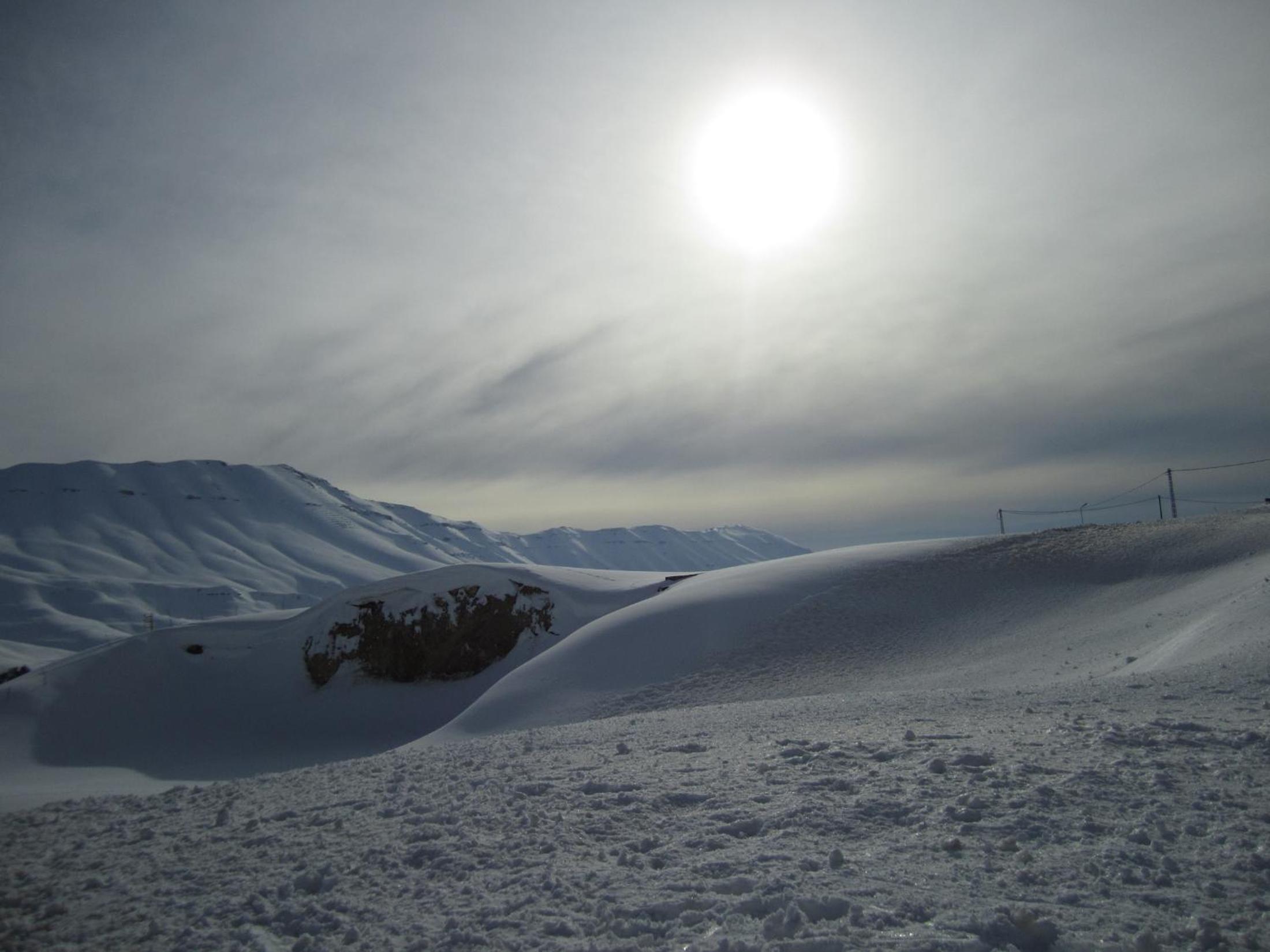 Cedars Palace