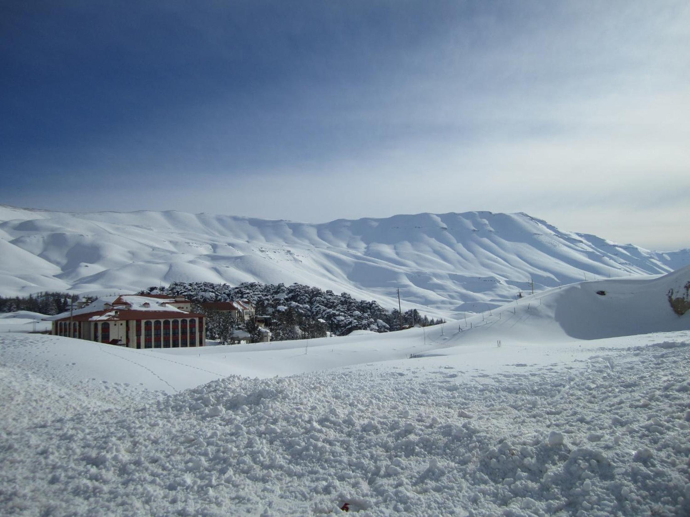 Cedars Palace