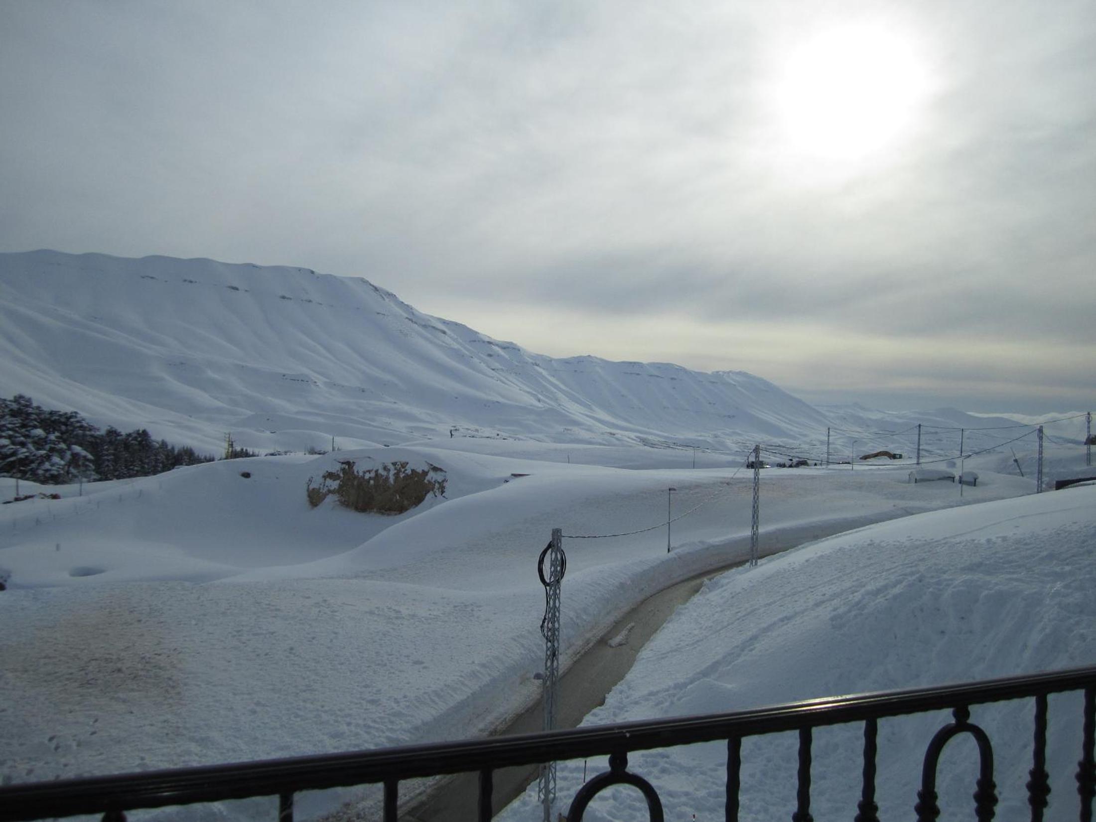 Cedars Palace
