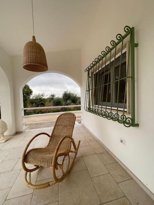 Photo 42
