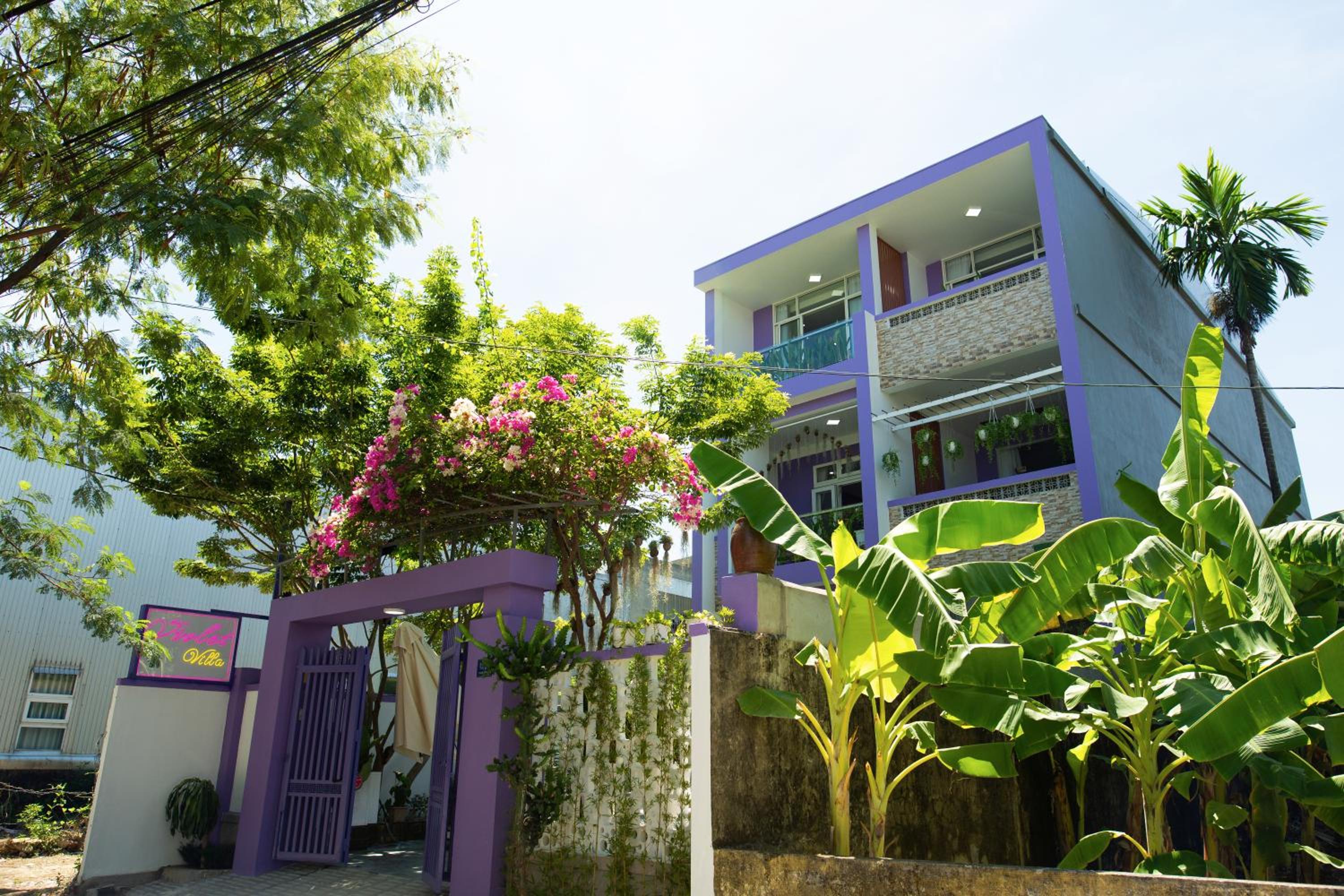 Violet Villa Hue view 4